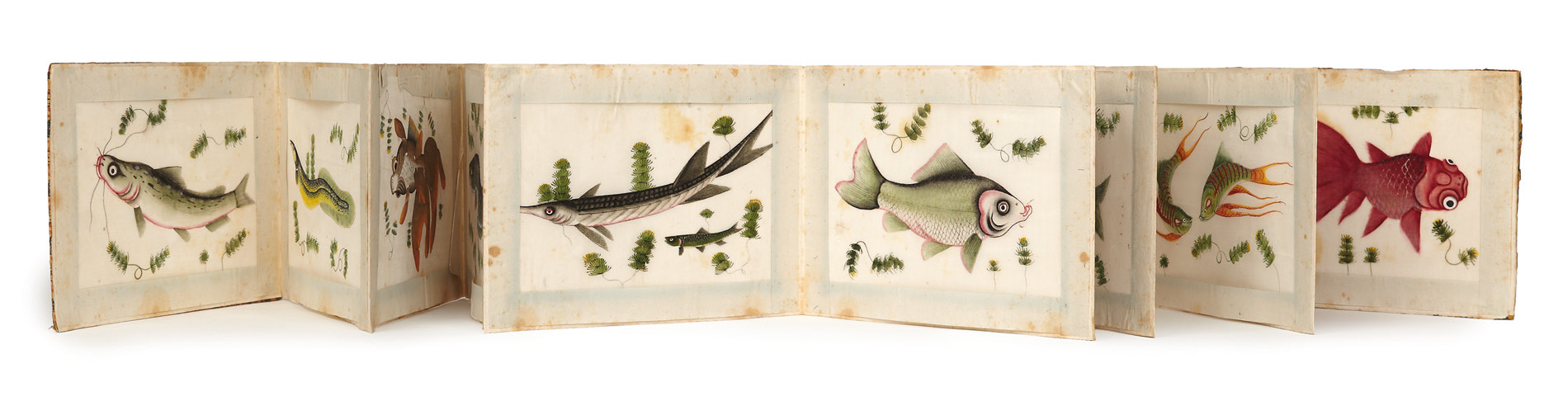 AN ALBUM OF CHINESE EXPORT PITH PAPER PAINTINGS OF FISH