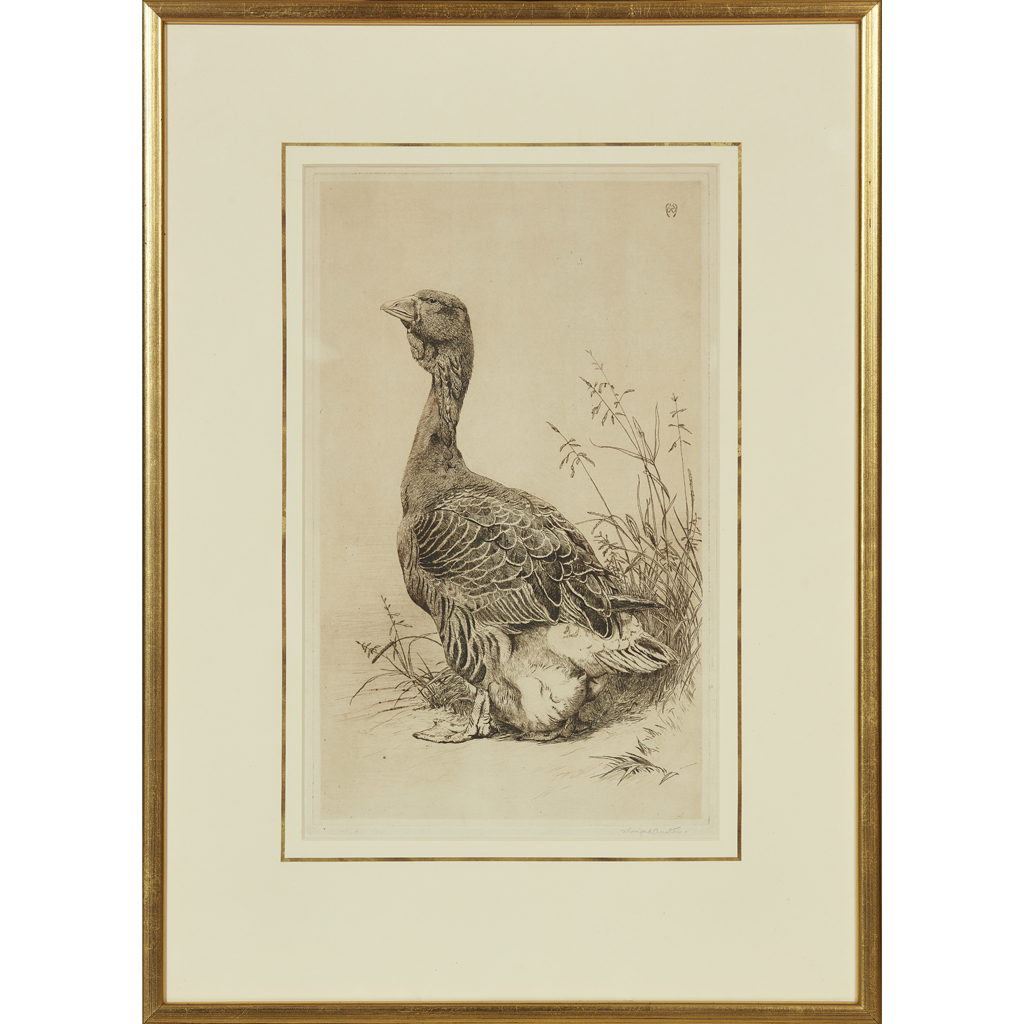 WINIFRED AUSTEN (BRITISH 1876-1964)