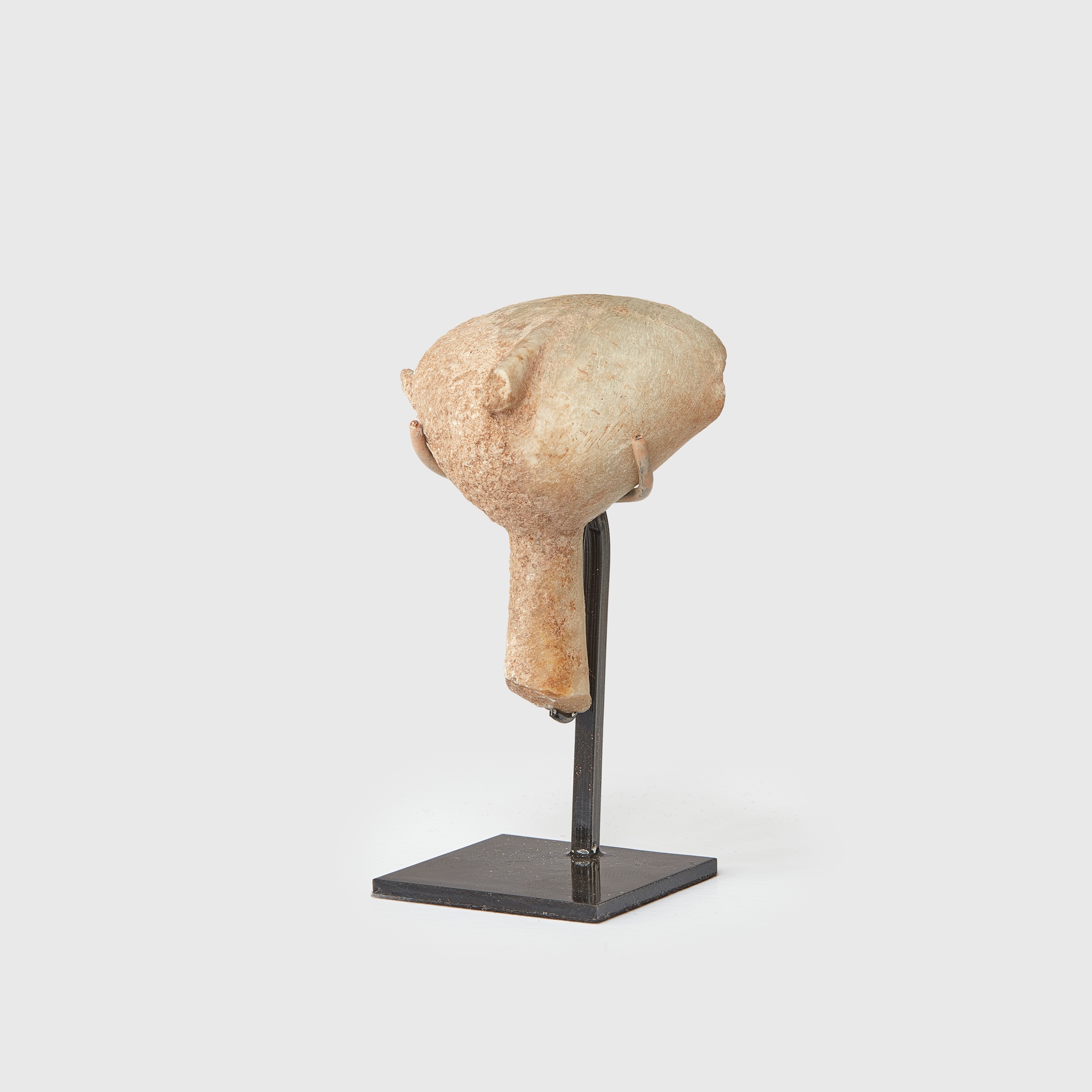 KILIA "STARGAZER" HEAD