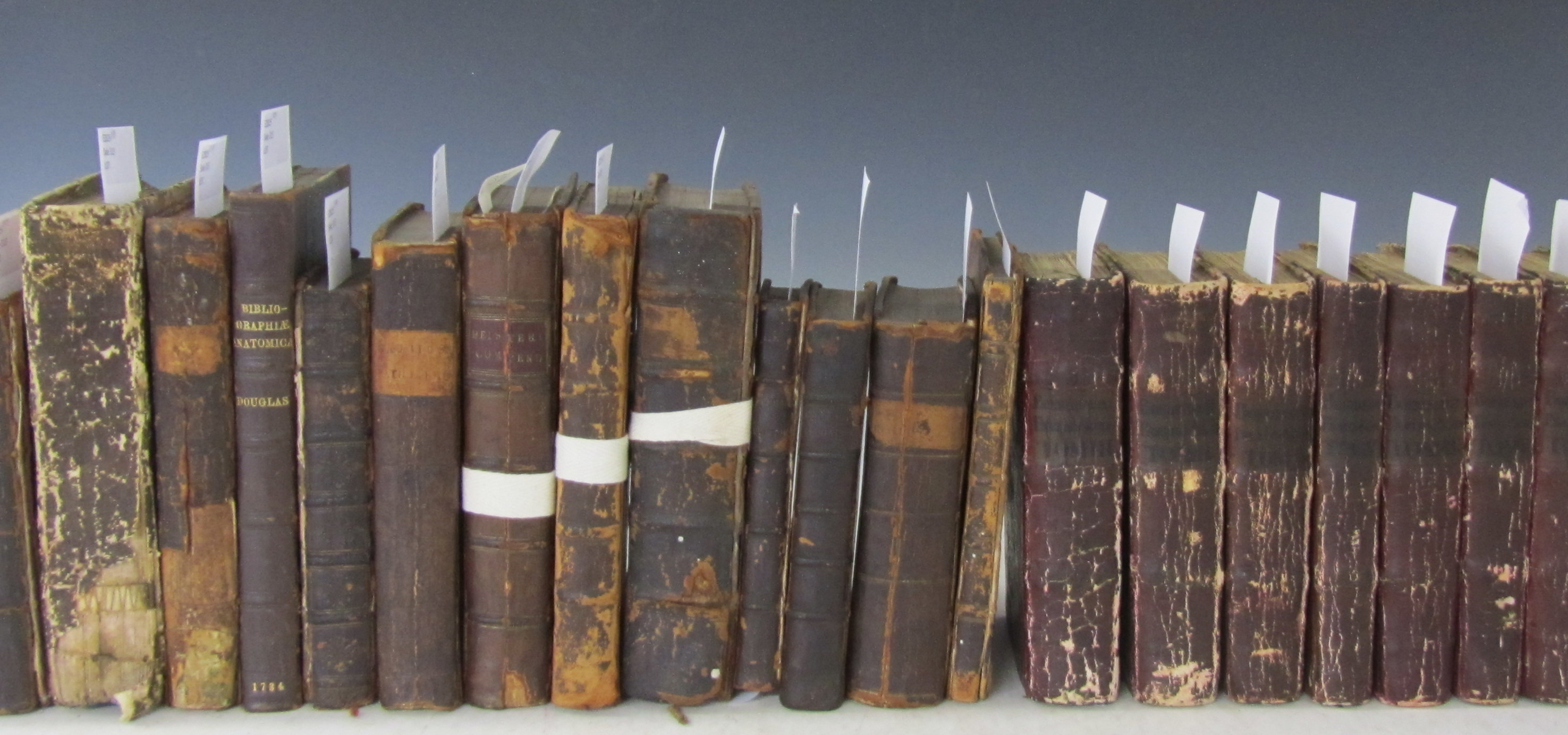 Latin editions -- Eustachius, Bartholomaeus