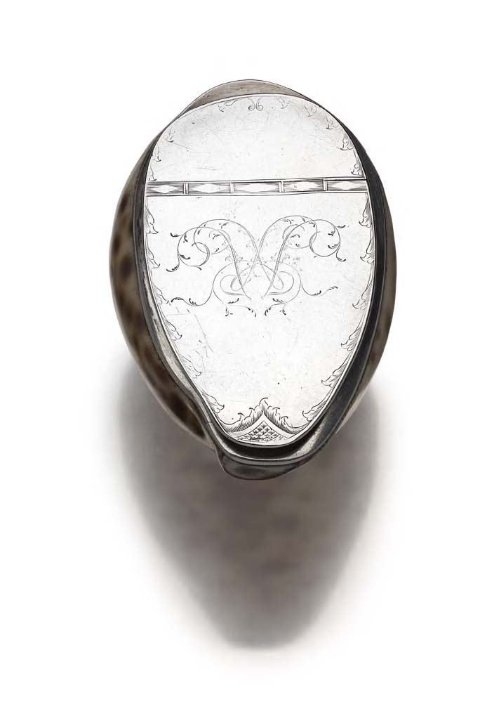 ABERDEEN - a Scottish provincial cowrie shell snuff box,