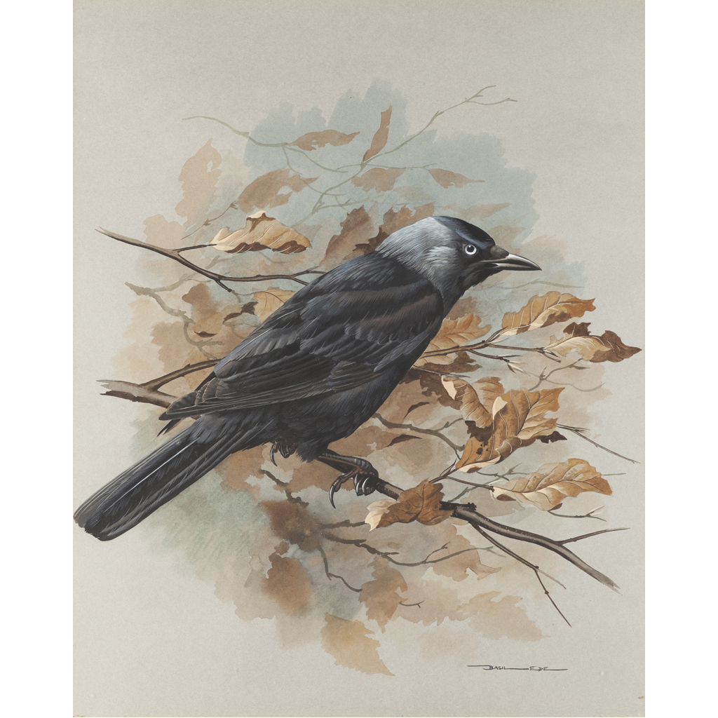 BASIL EDE (BRITISH B.1931)