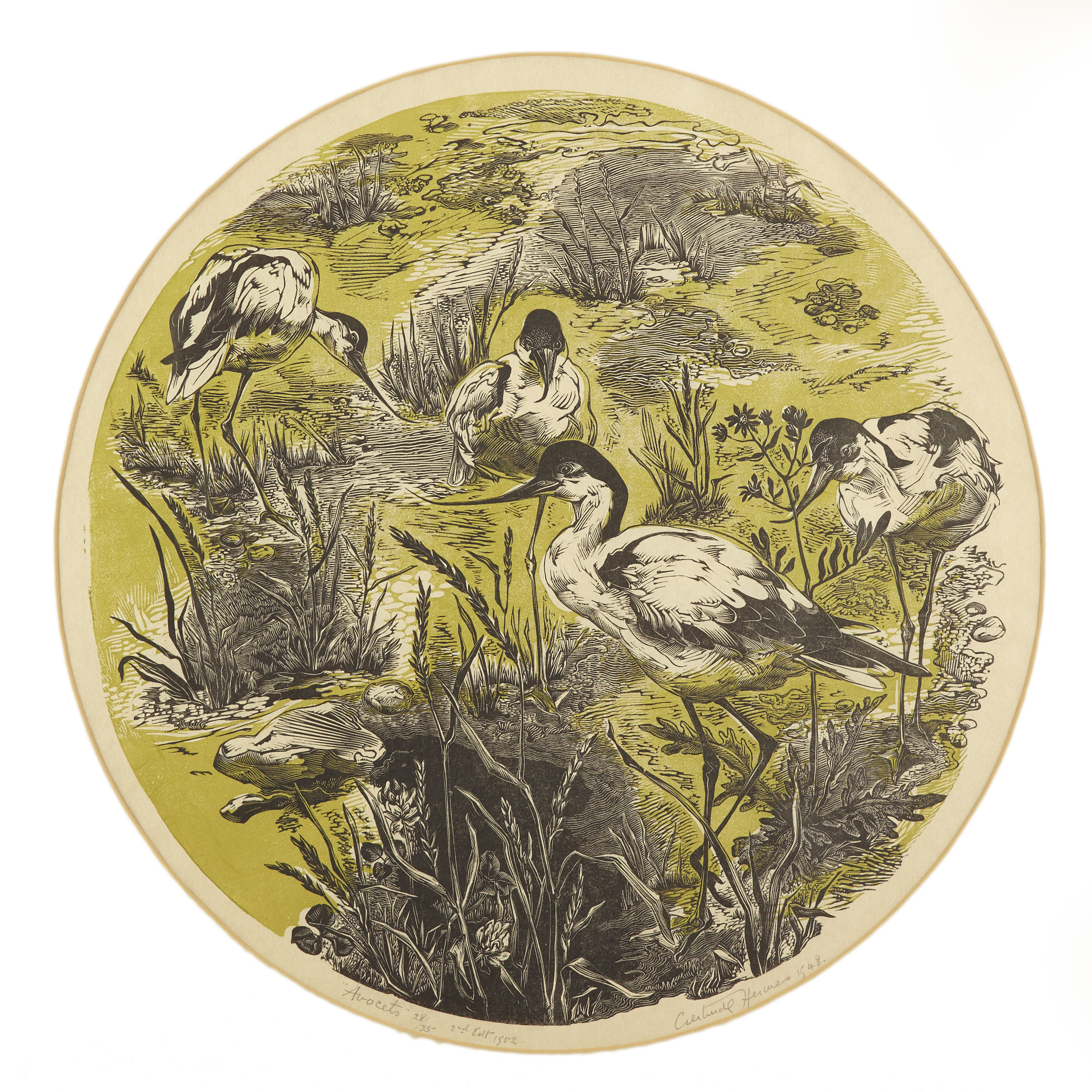 GERTRUDE HERMES O.B.E., R.A. (BRITISH 1901-1983)