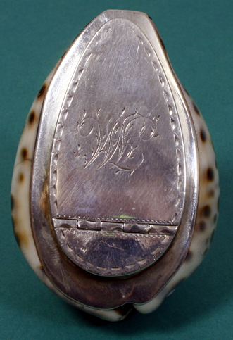 A cowrie shell mull