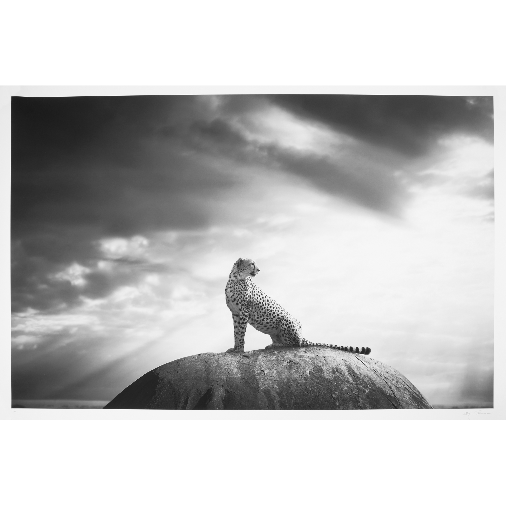 BJÖRN PERSSON (SWEDISH B.1974)