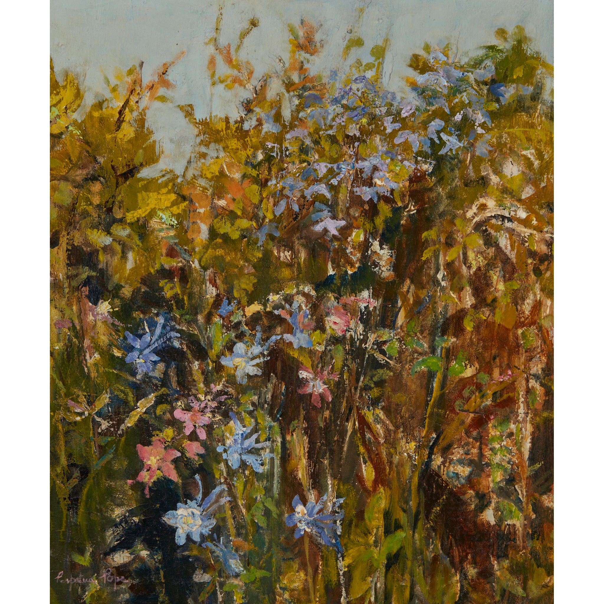 PERPETUA M. POPE (SCOTTISH 1916-2013)