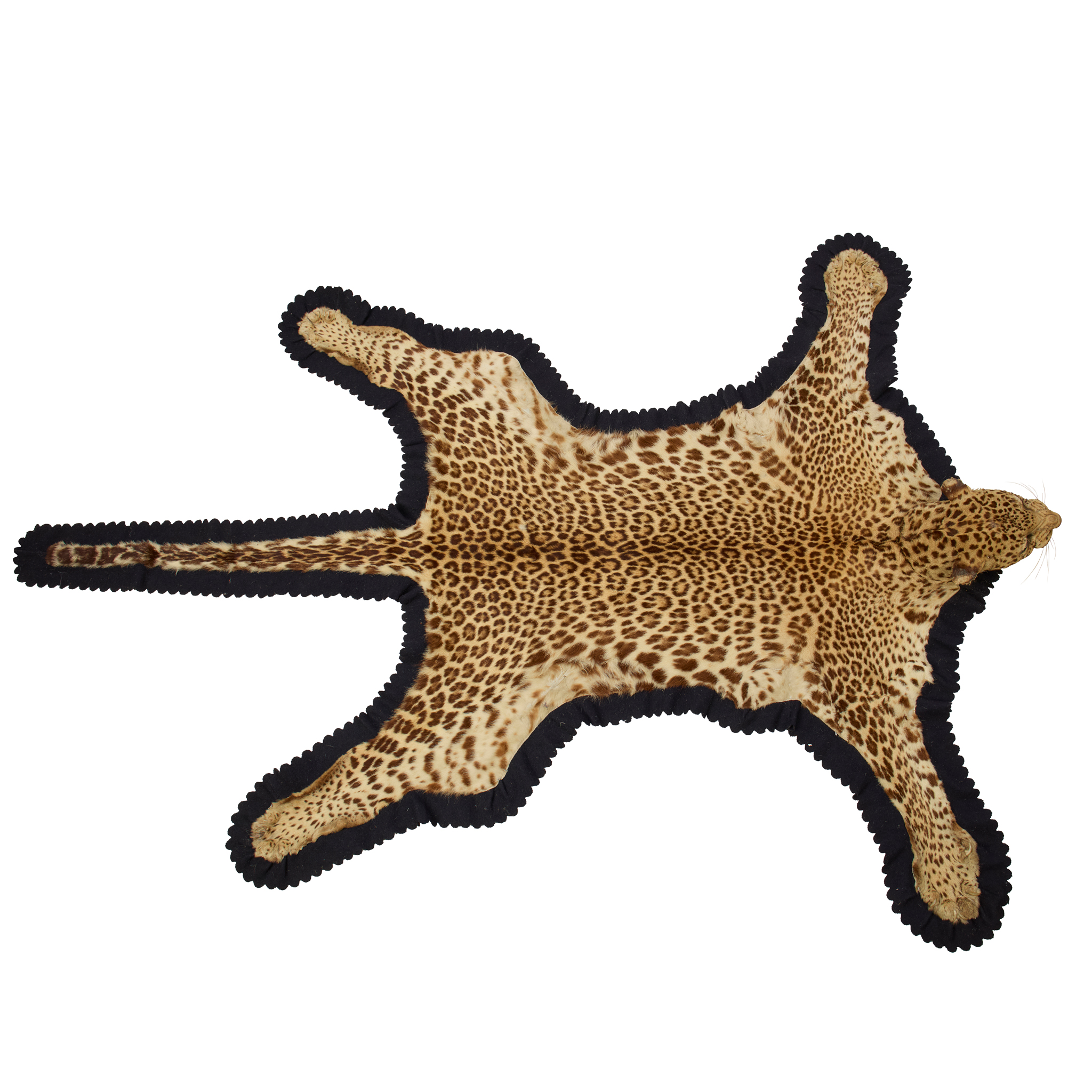 A TAXIDERMY INDIAN LEOPARD SKIN, VAN INGEN & VAN INGEN, MYSORE