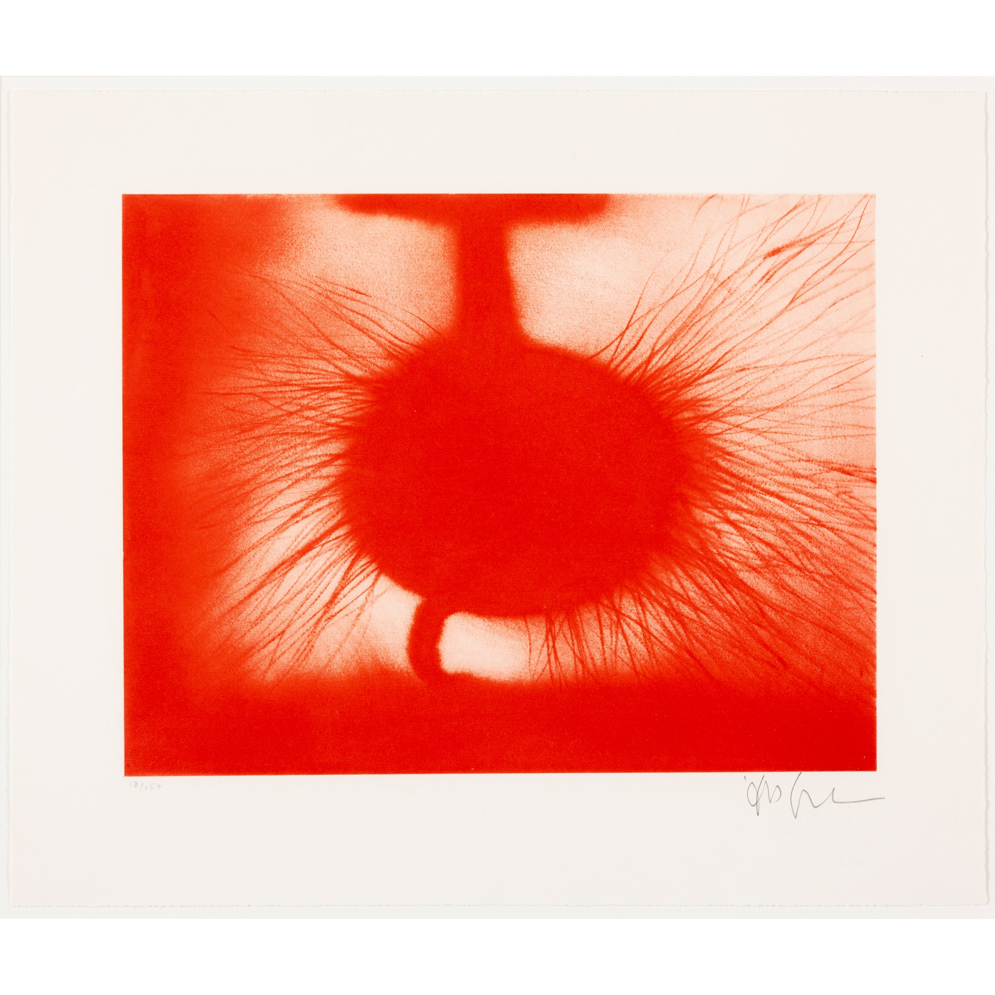 ANISH KAPOOR (INDIAN-BRITISH 1954-)