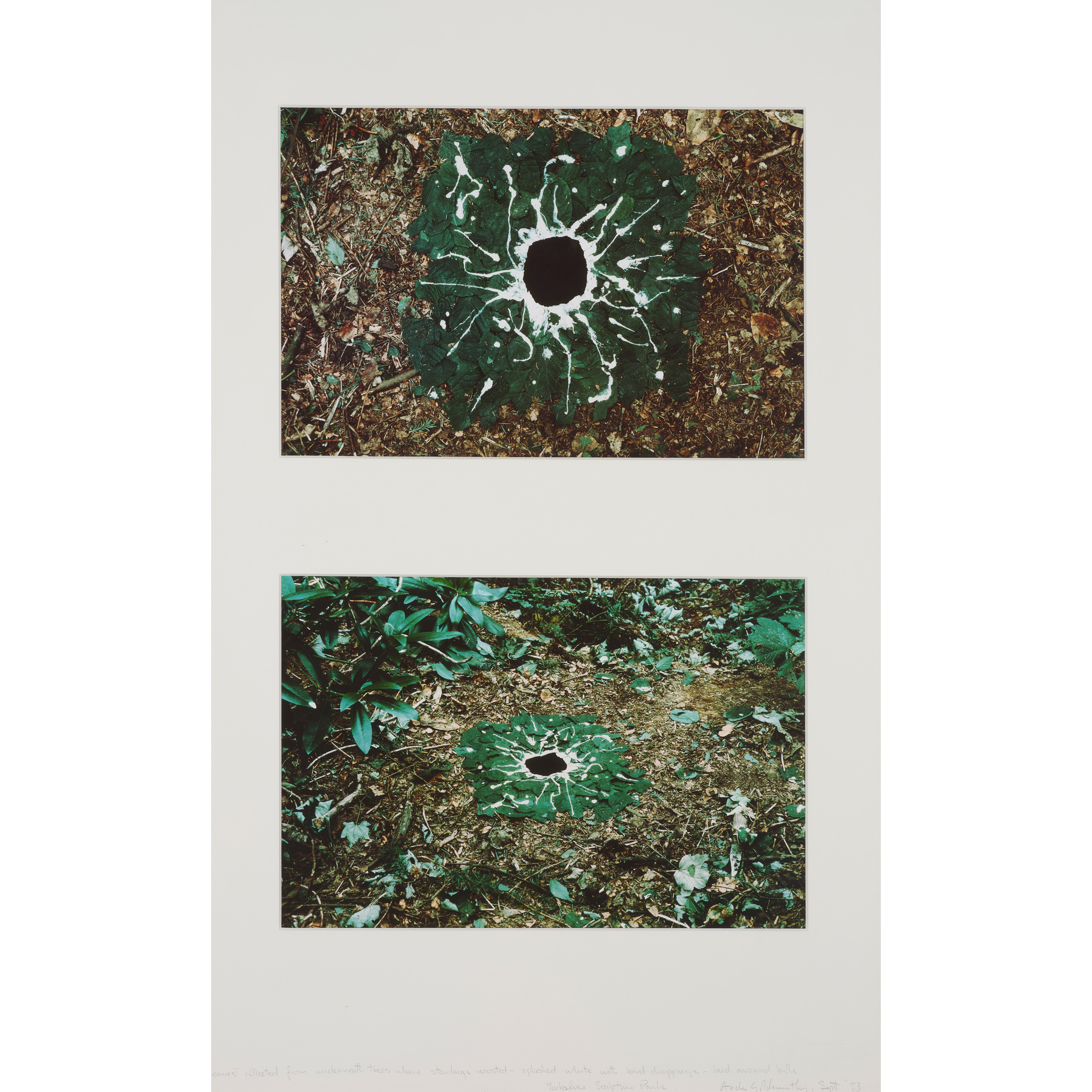 ANDY GOLDSWORTHY O.B.E. (BRITISH 1956-)