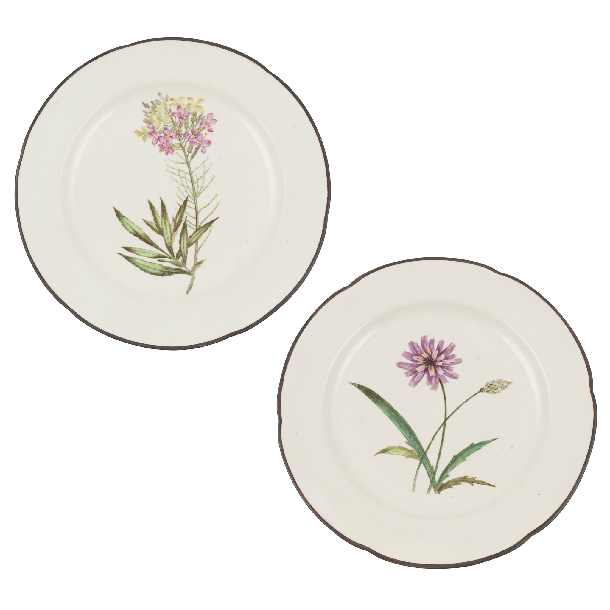 TWO DERBY BOTANICAL PLATES