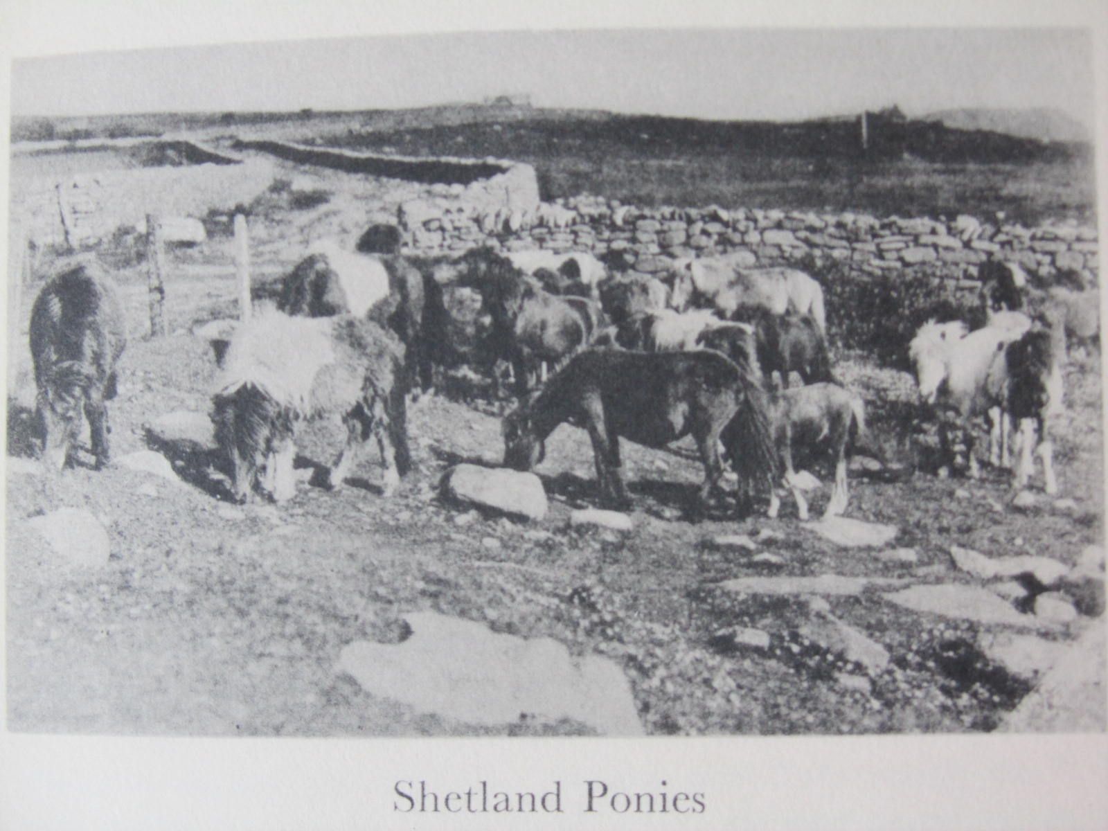 Travel, a quantity, including Marryat, Horace