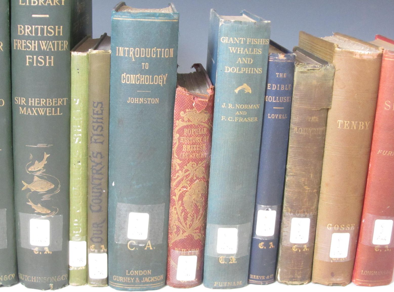 Natural history, a quantity, including Gosse, Philip Henry