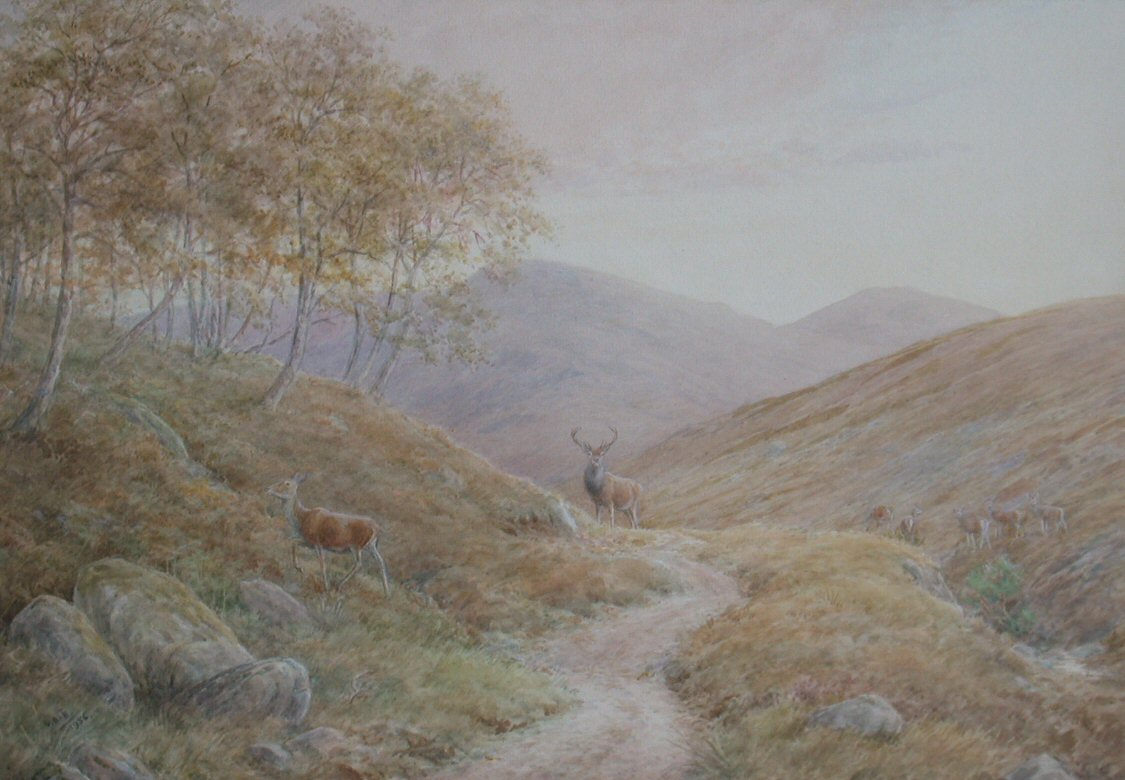 VINCENT BALFOUR-BROWNE