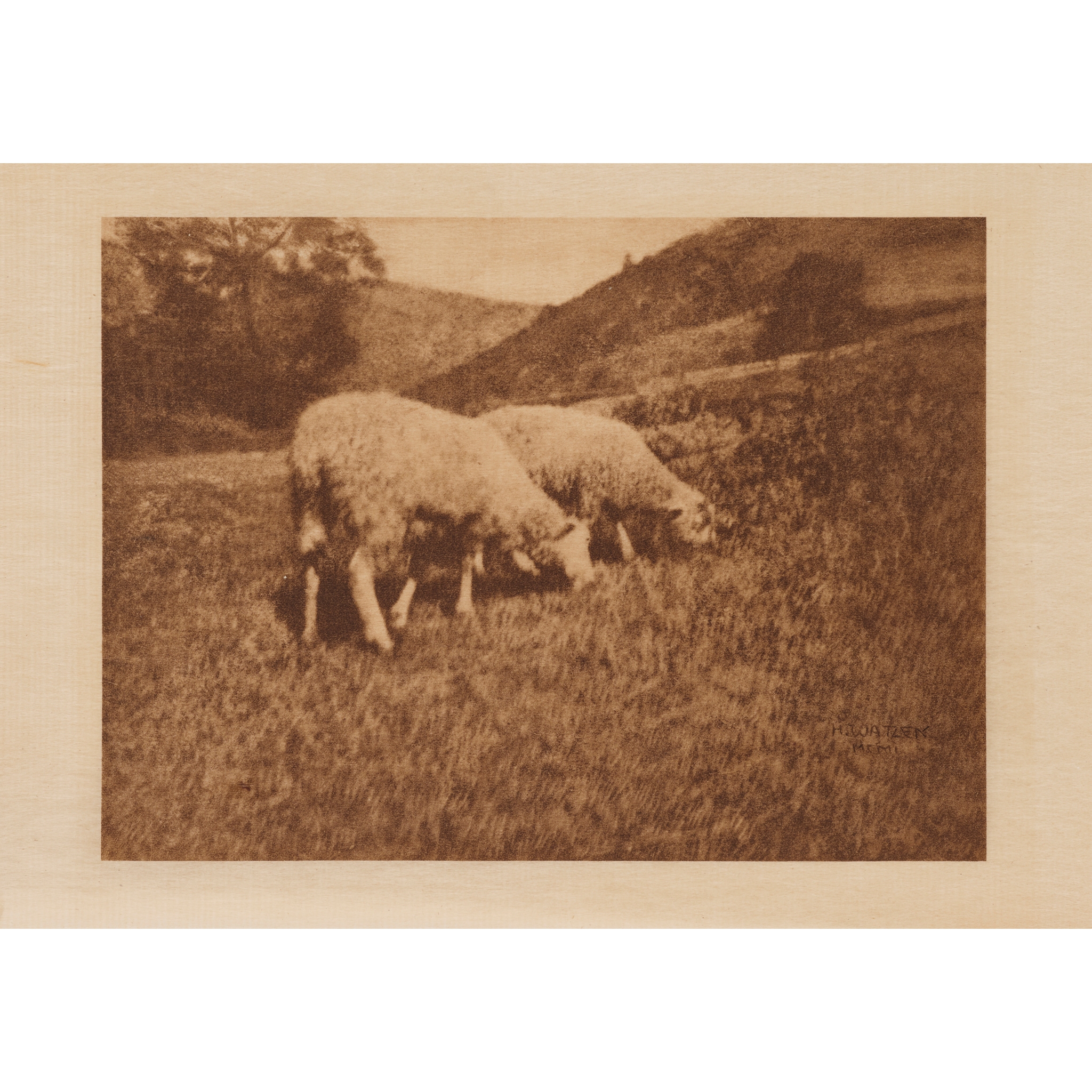 Robert Dermachy (1859-1936), and Others