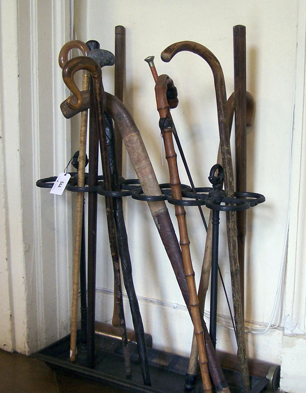 A collection of walking sticks