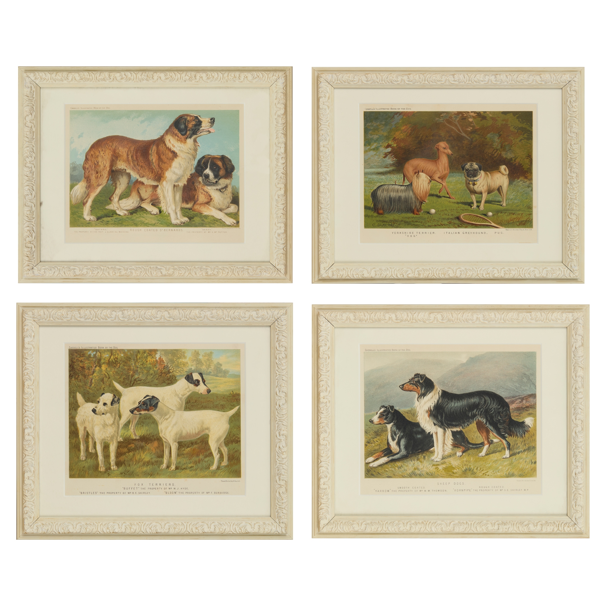 SET OF FOURTEEN CHROMOLITHOGRAPH PRINTS FROM CASSELL’S 'ILLUSTRATED BOOK OF THE DOG'