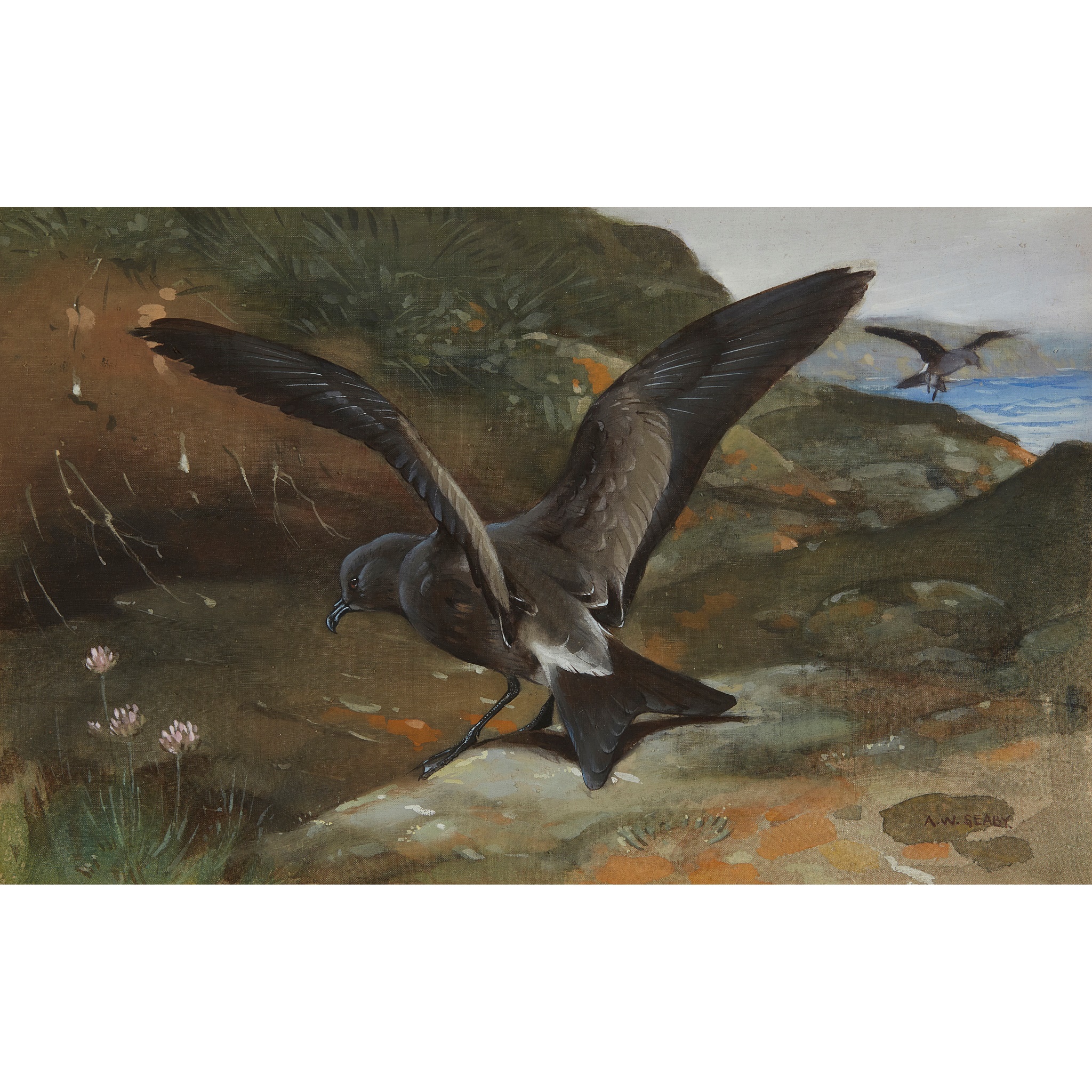 ALLEN WILLIAM SEABY (BRITISH 1867-1953)