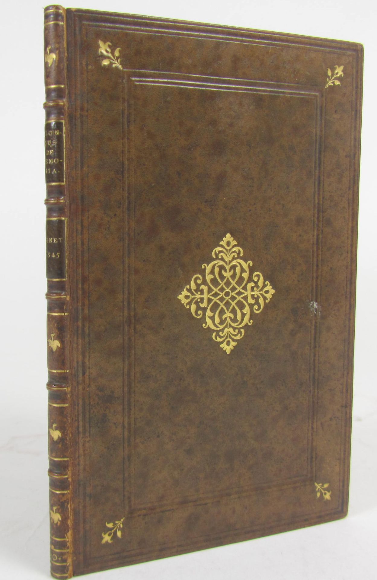 Biondo, Michel Angelo