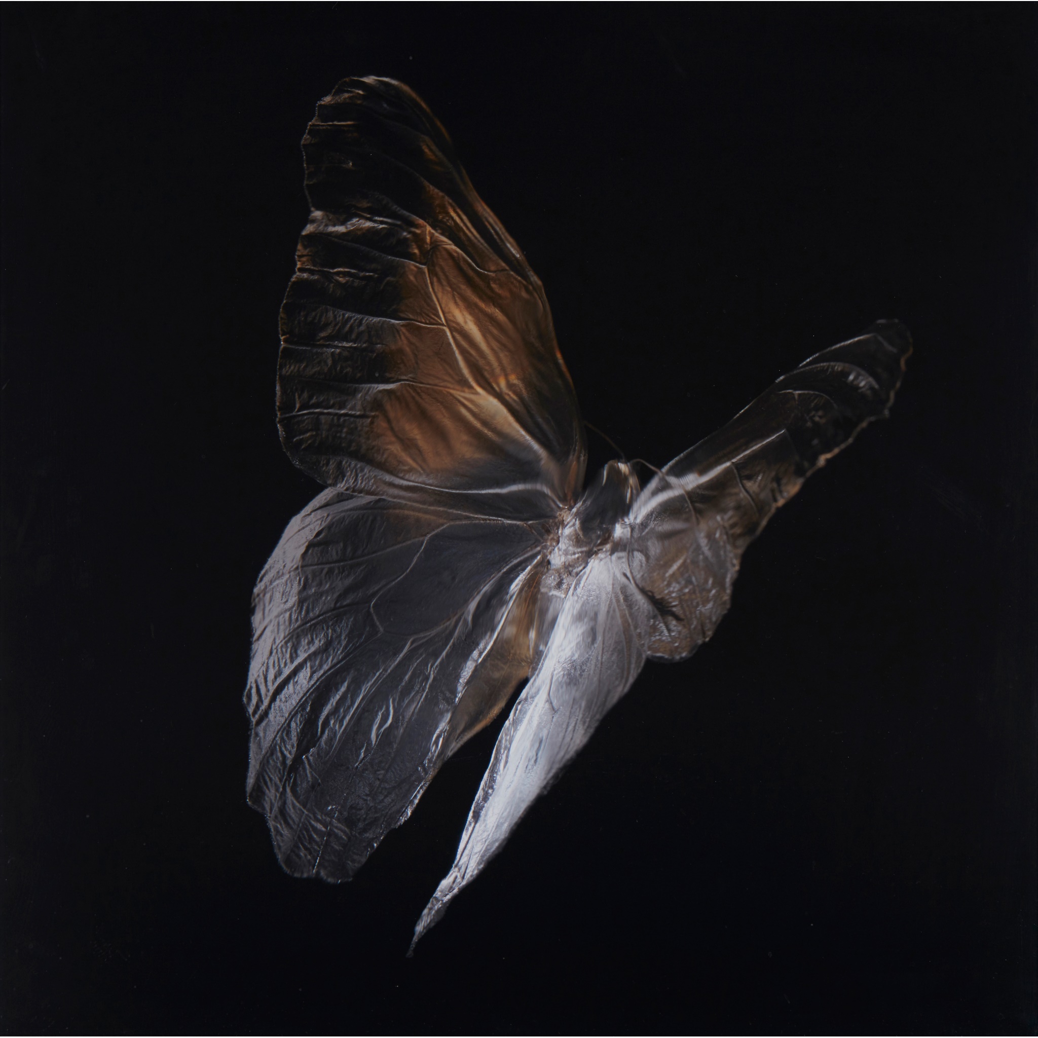 ALEXANDER JAMES (BRITISH B.1967)