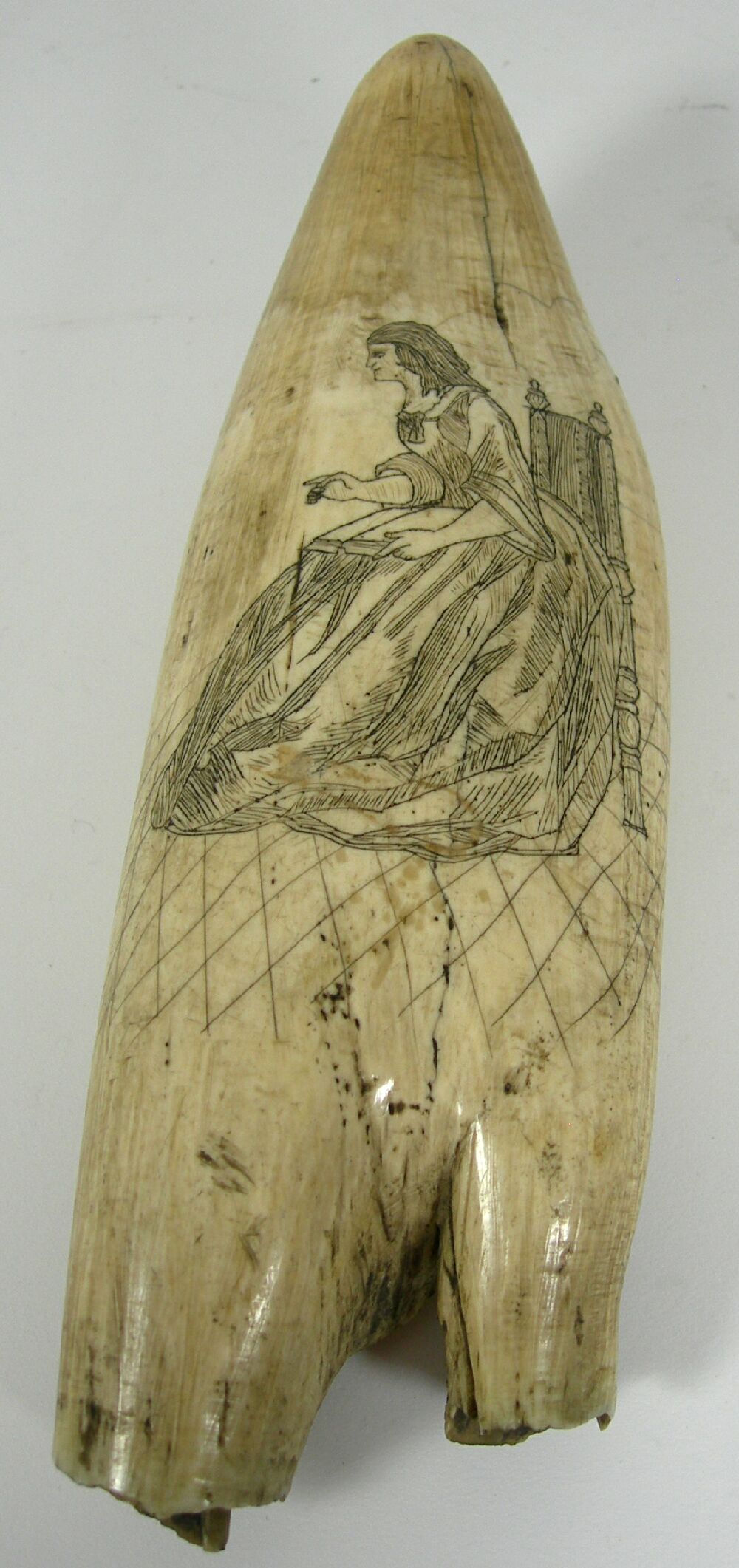 SCRIMSHAW WHALE'S TOOTH