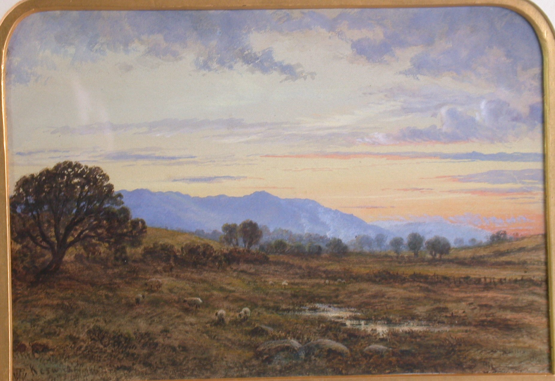 WALLER HUGH PATON