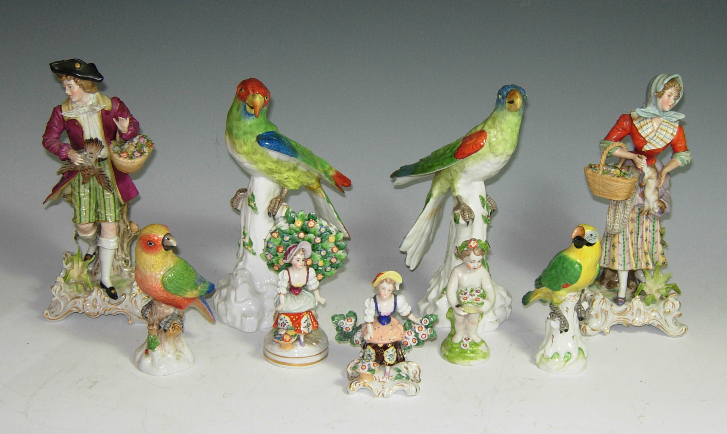 A pair of Samson parrots