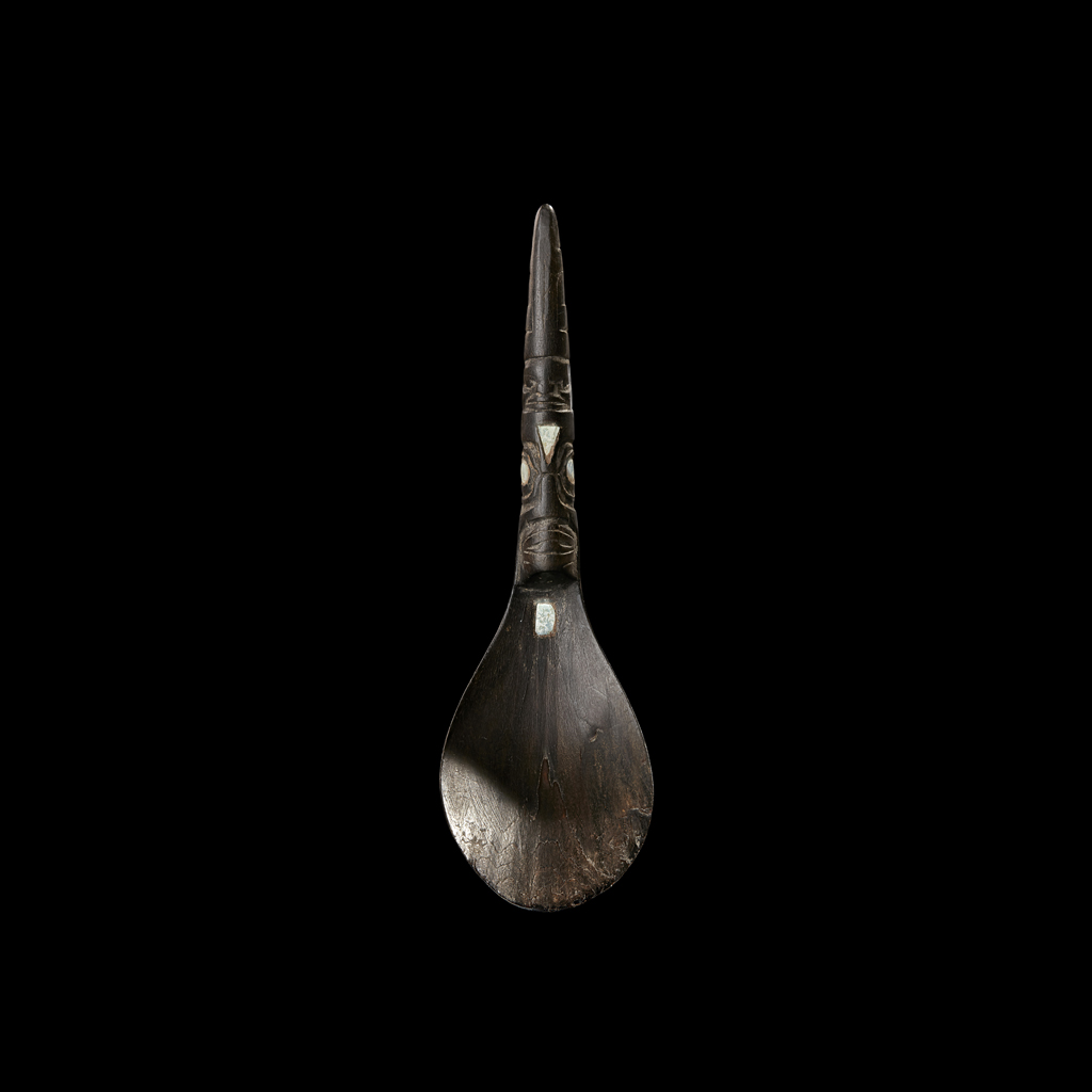 HAIDA SPOON