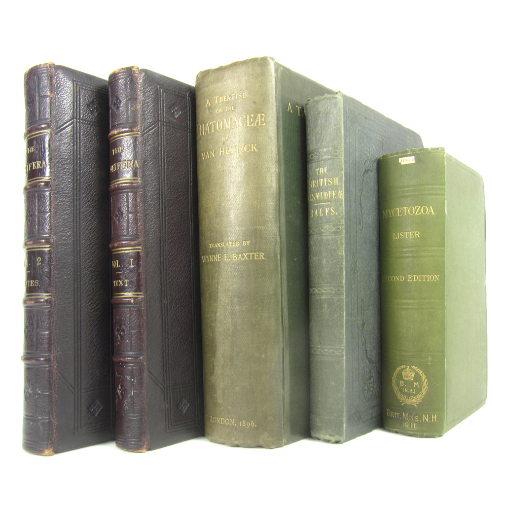 Natural History, including Hudson, C.T. & P.H. Gosse