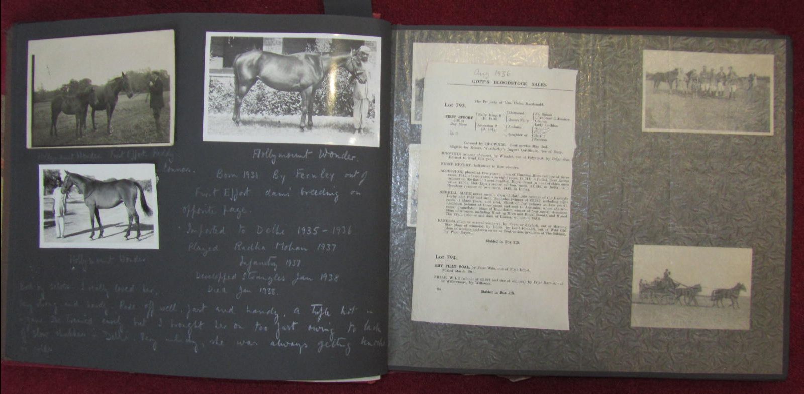 Macdonalds of Sandside, Hunting & Polo