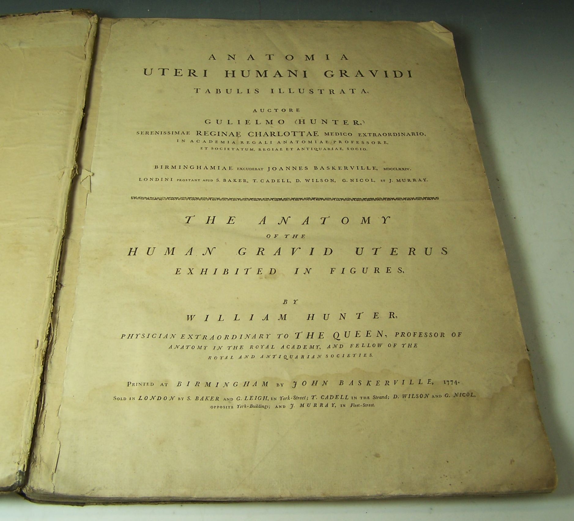 Medicine and Anatomy - Hunter, William