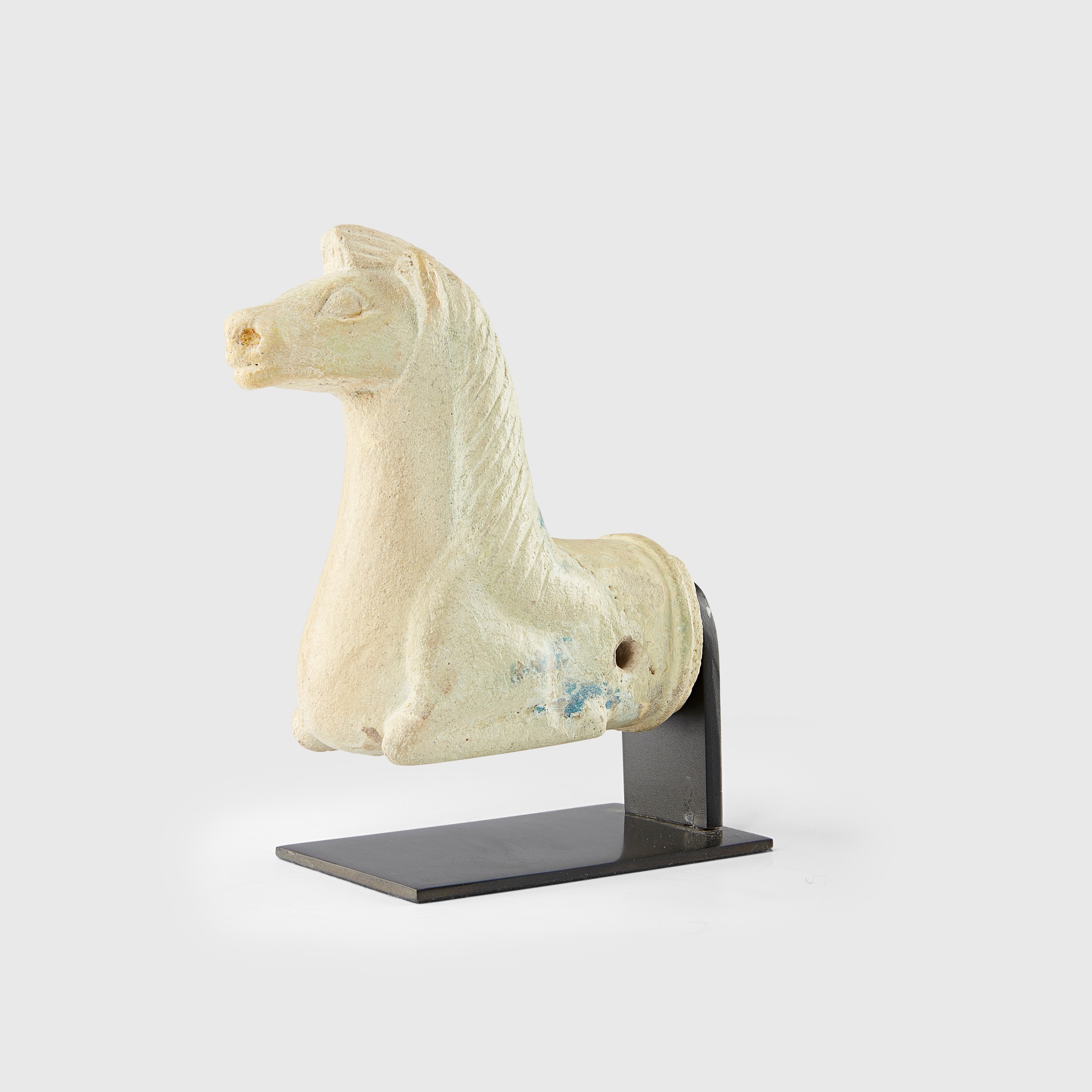ZIWIYE HORSE PROTOME