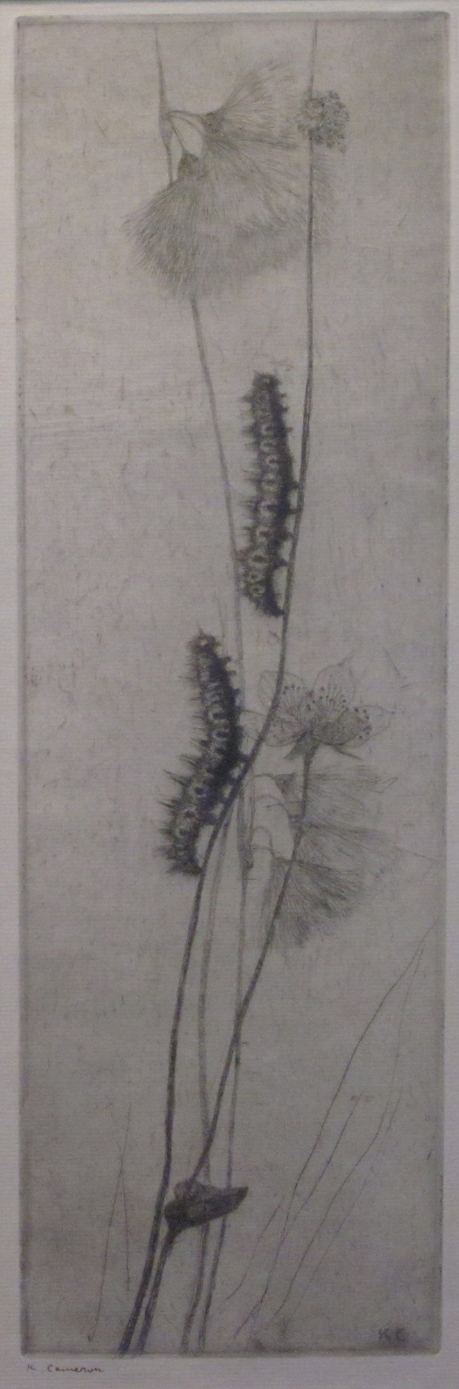 KATE CAMERON R.S.W. R.E. (SCOTTISH 1874-1965)