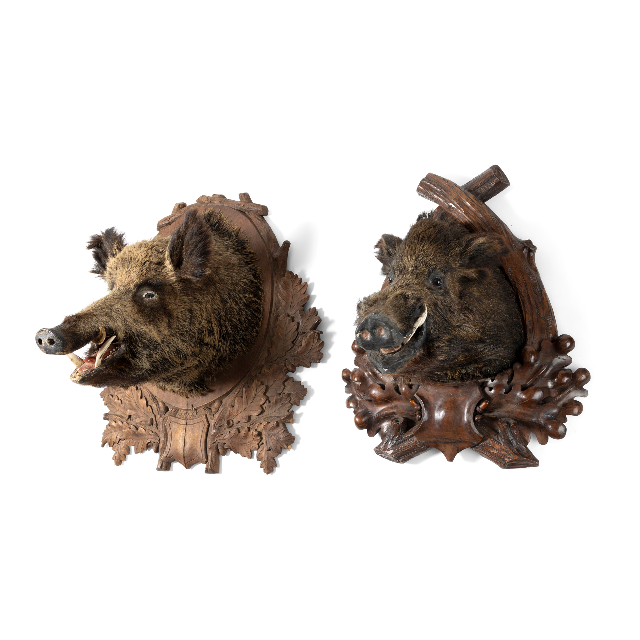 TWO MOUNTED WILD BOAR HEADS