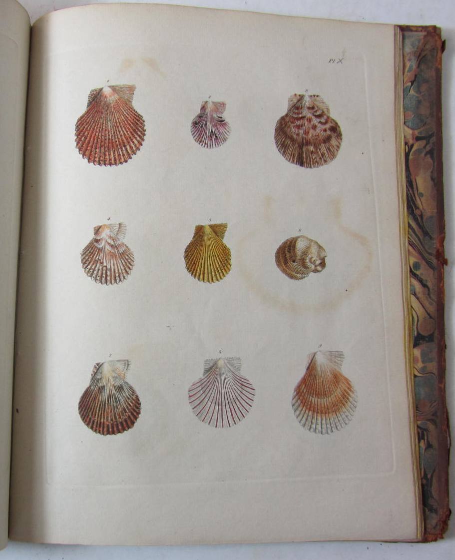 Costa, Emanuel Mendes da