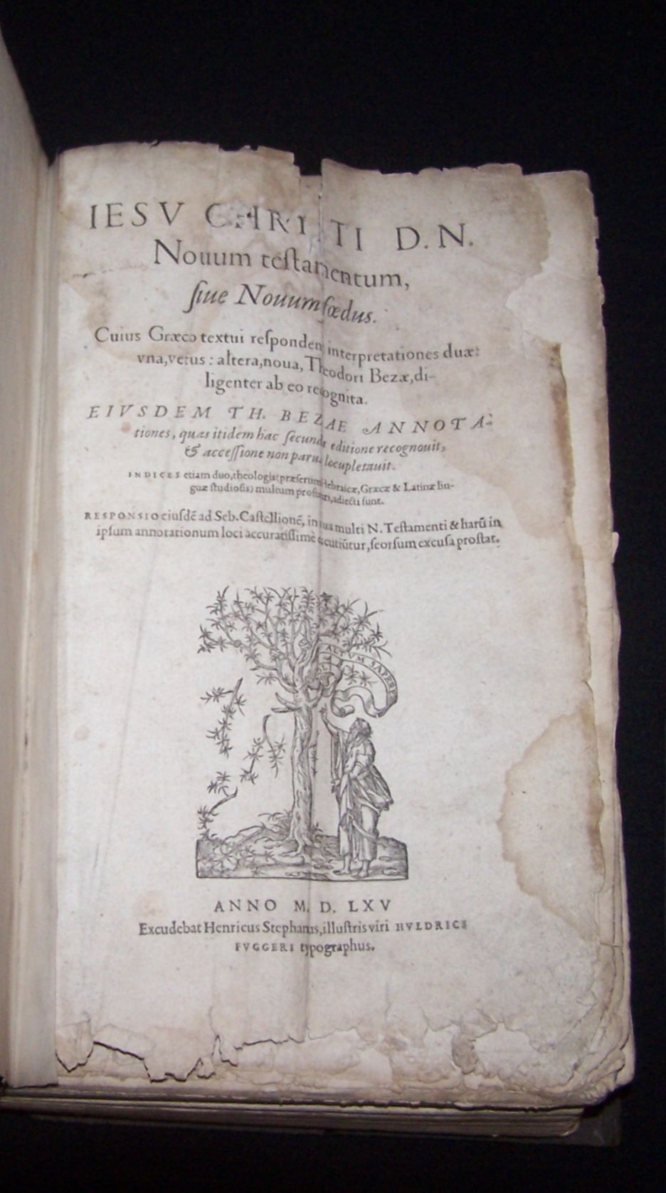 Bible - New Testament - Latin & Greek