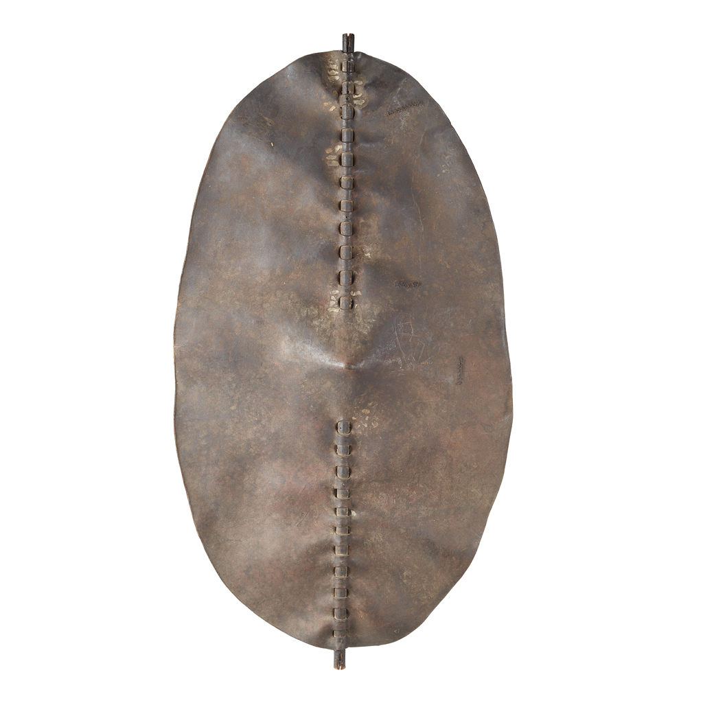 DINKA SHIELD