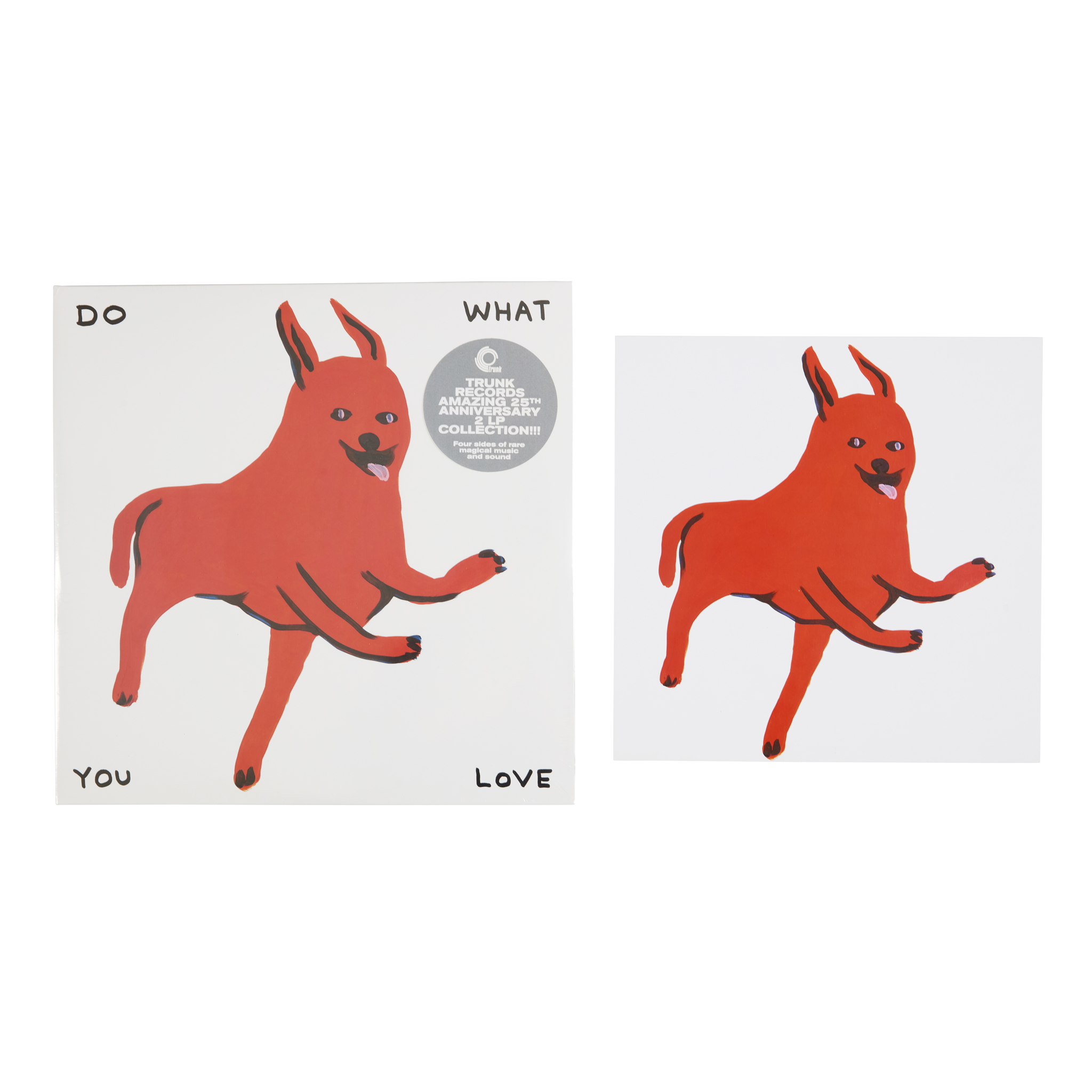 DAVID SHRIGLEY O.B.E. (BRITISH 1968-)