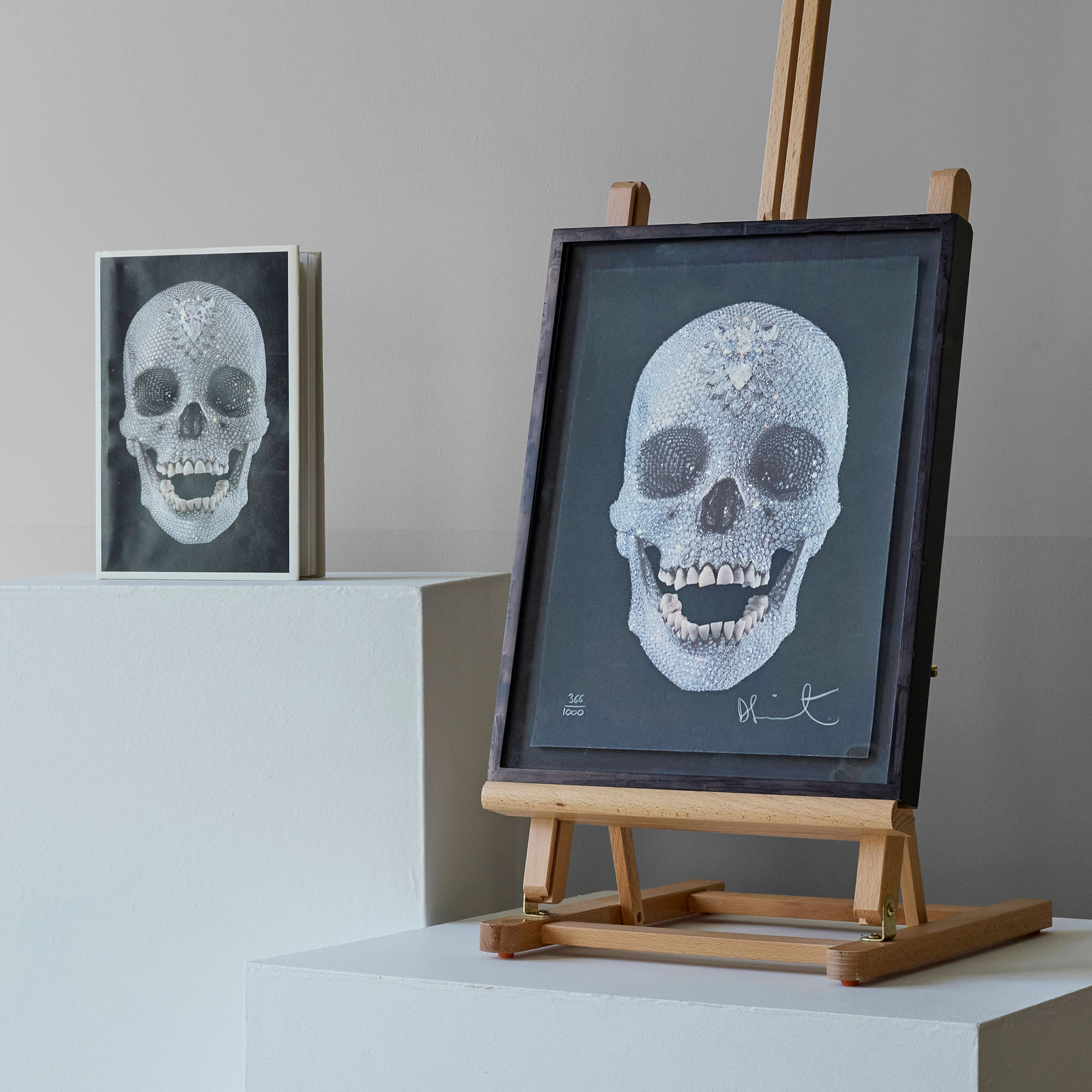 DAMIEN HIRST (BRITISH 1965-)