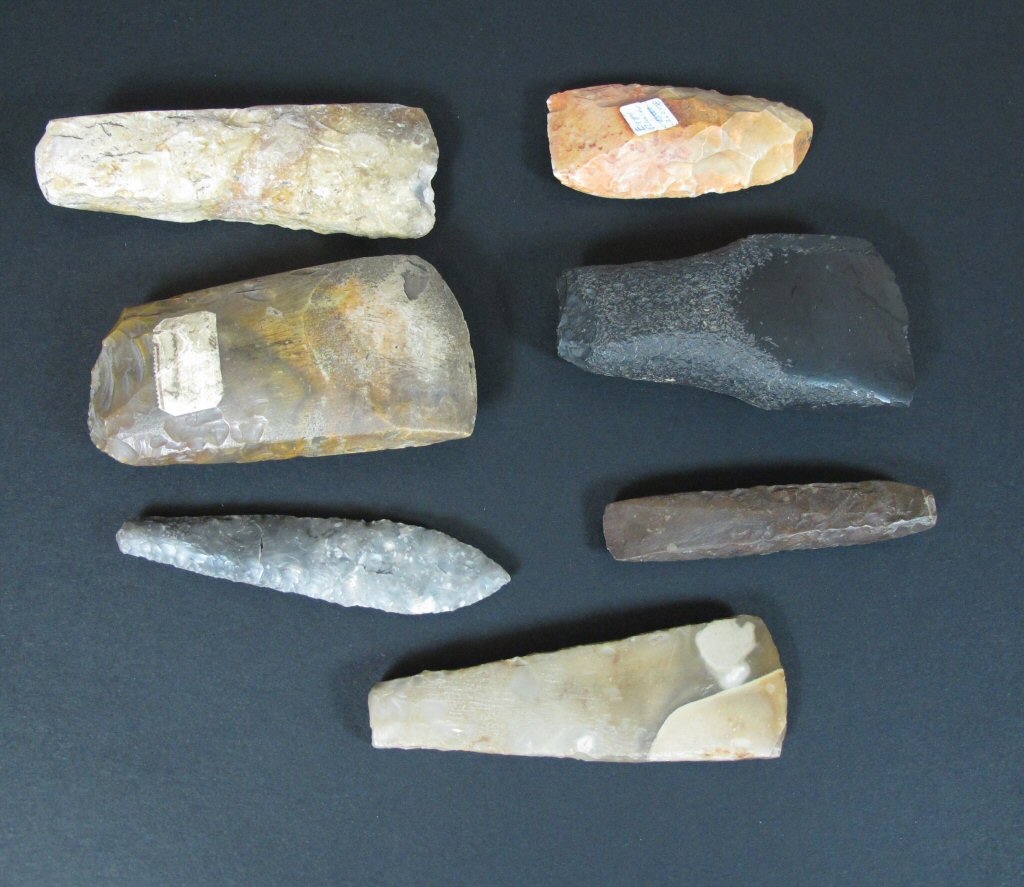 A mahogany collector's cabinet