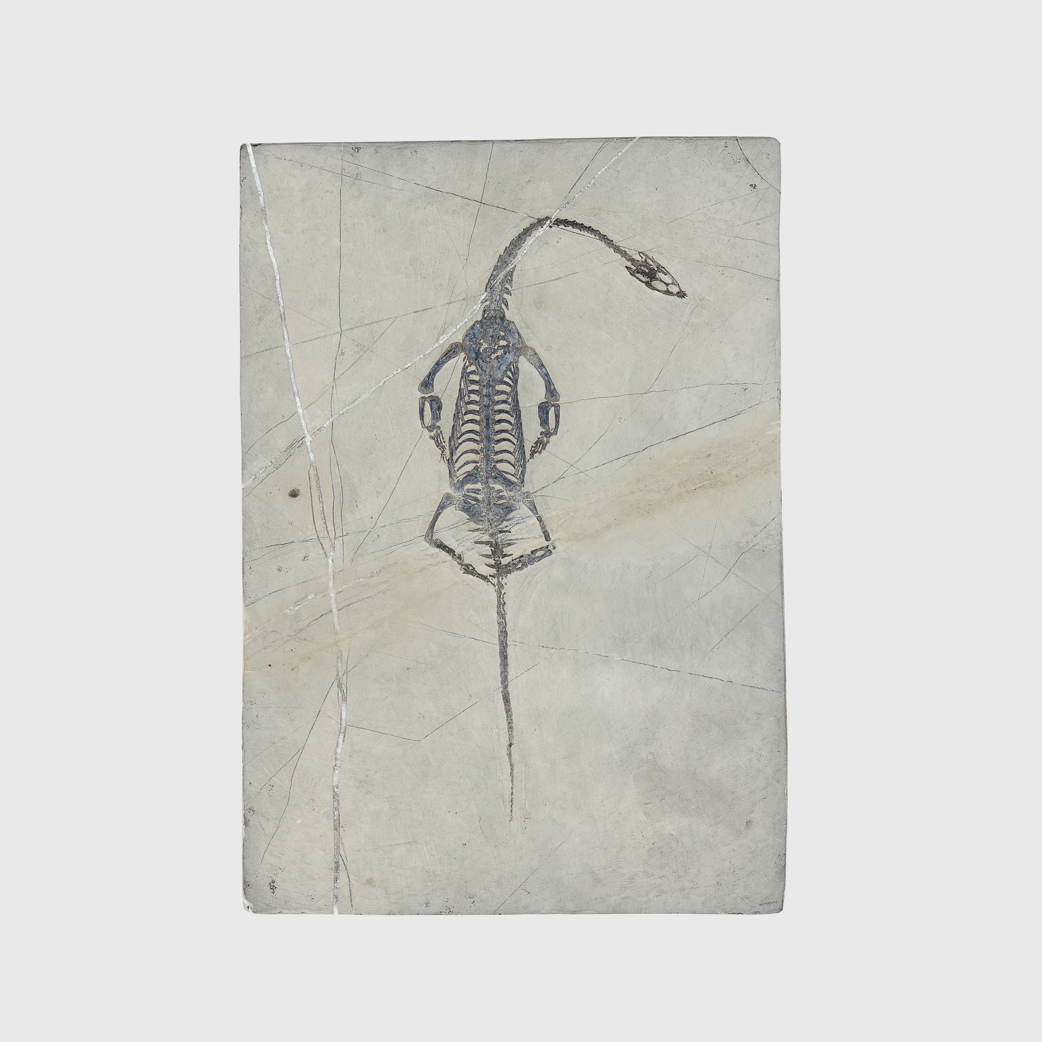 KEICHOUSAURUS FOSSIL PLAQUE