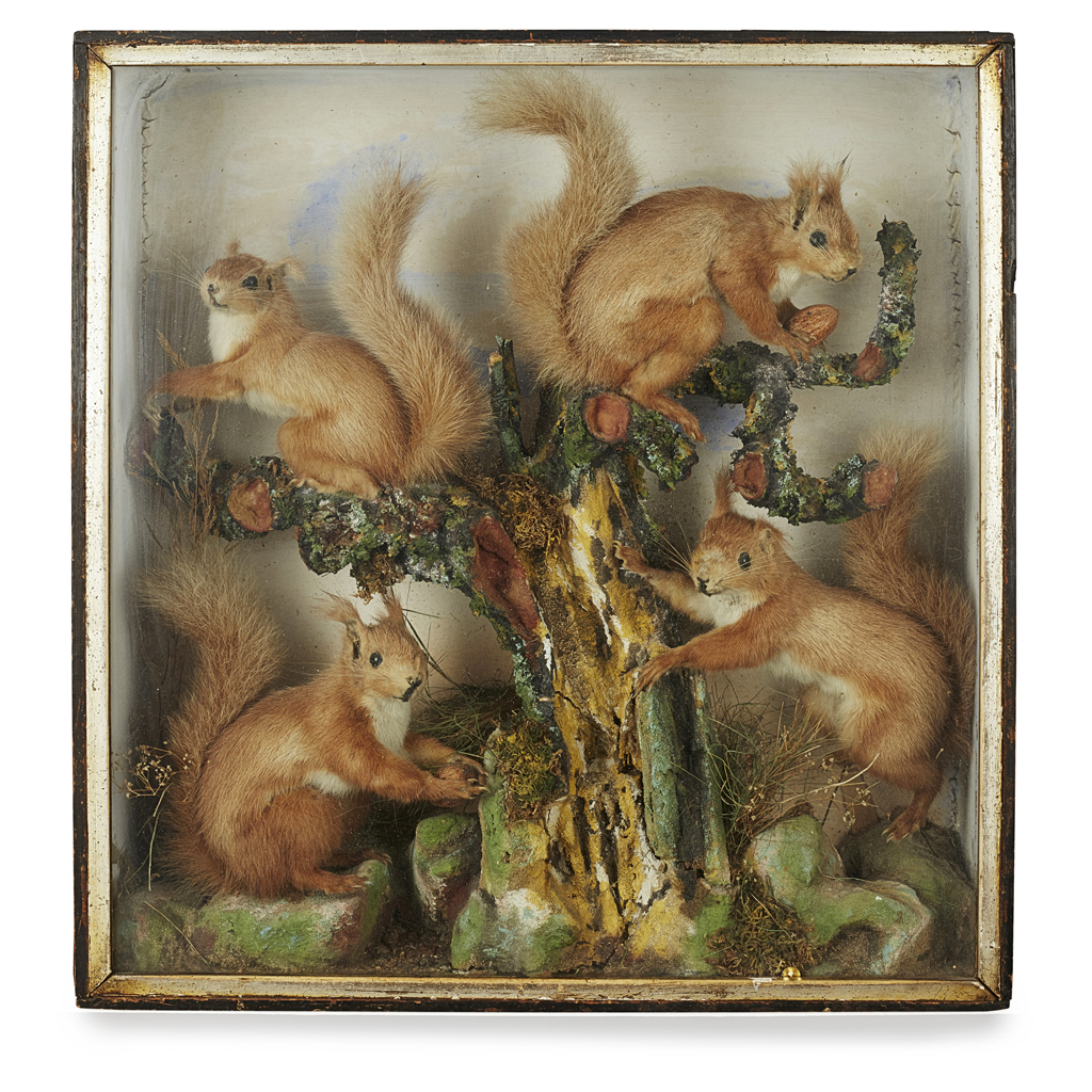 VICTORIAN TAXIDERMY RED SQUIRREL DIORAMA
