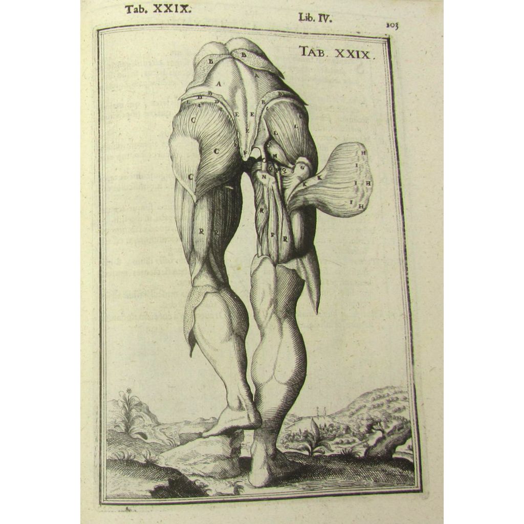 Spigelius, Adrianus SALEROOM NOTICE: 3rd item is complete with 9 illustrations (not 8)