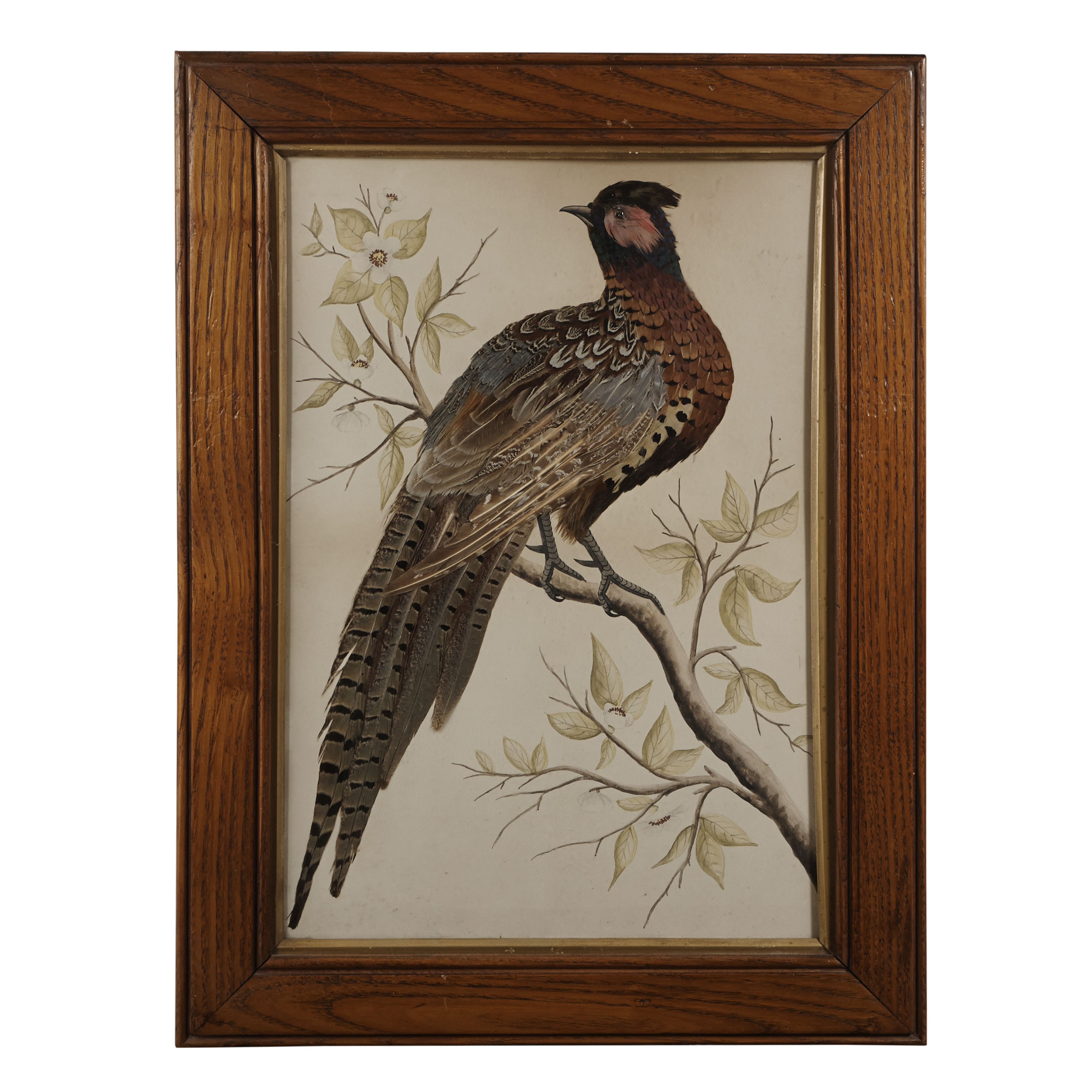 PAIR OF VICTORIAN BIRD PICTURES