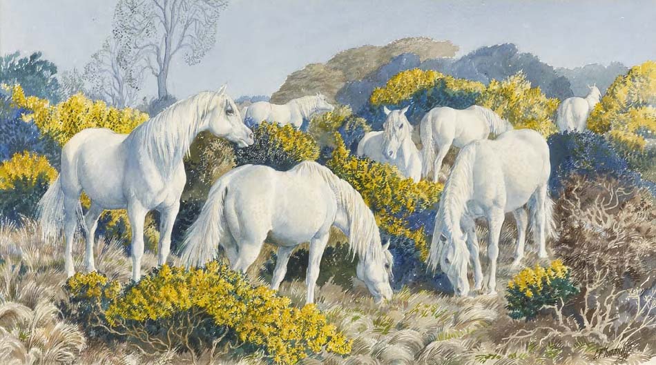 CHARLES TUNNICLIFFE R. A. (1901-1979)