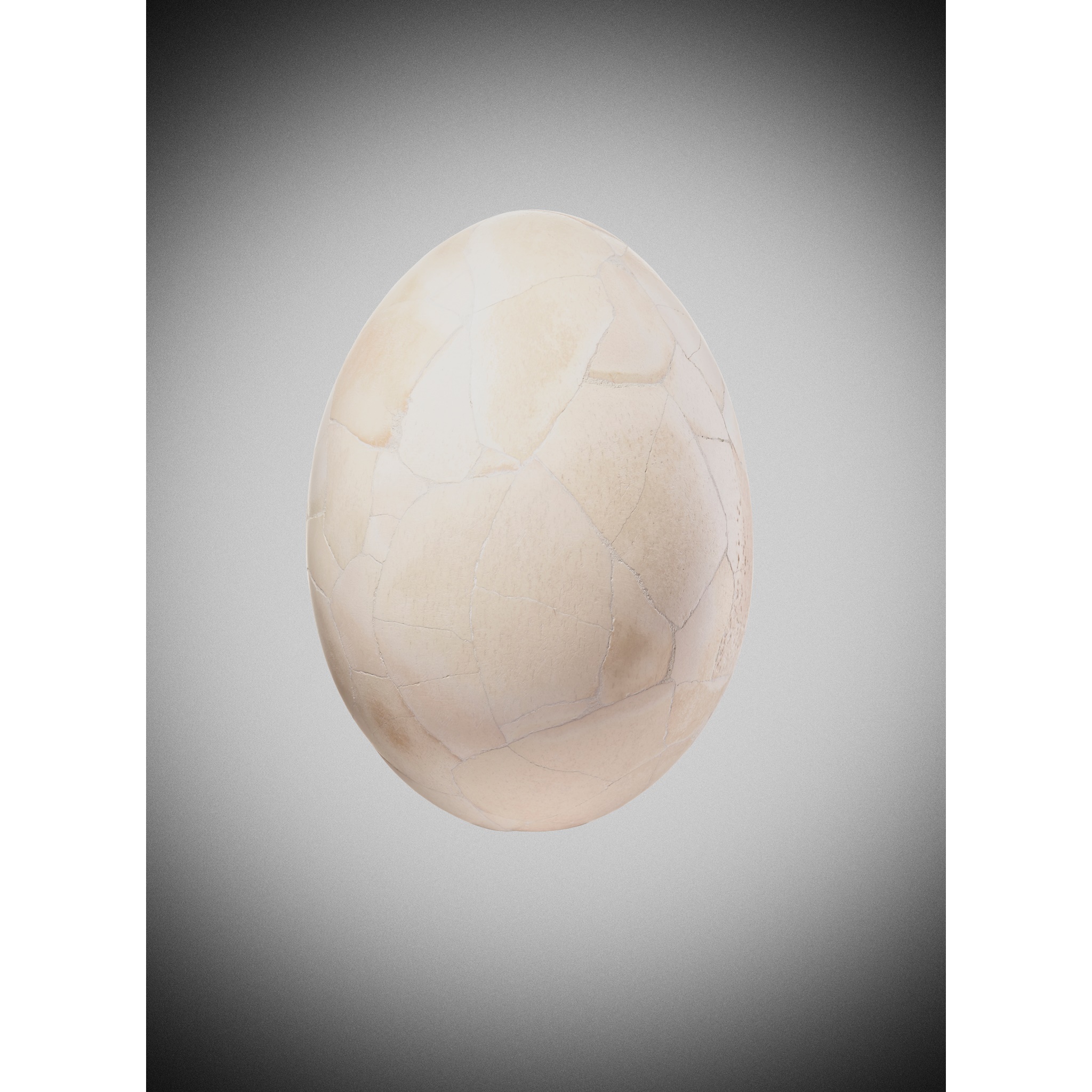 ELEPHANT BIRD EGG
