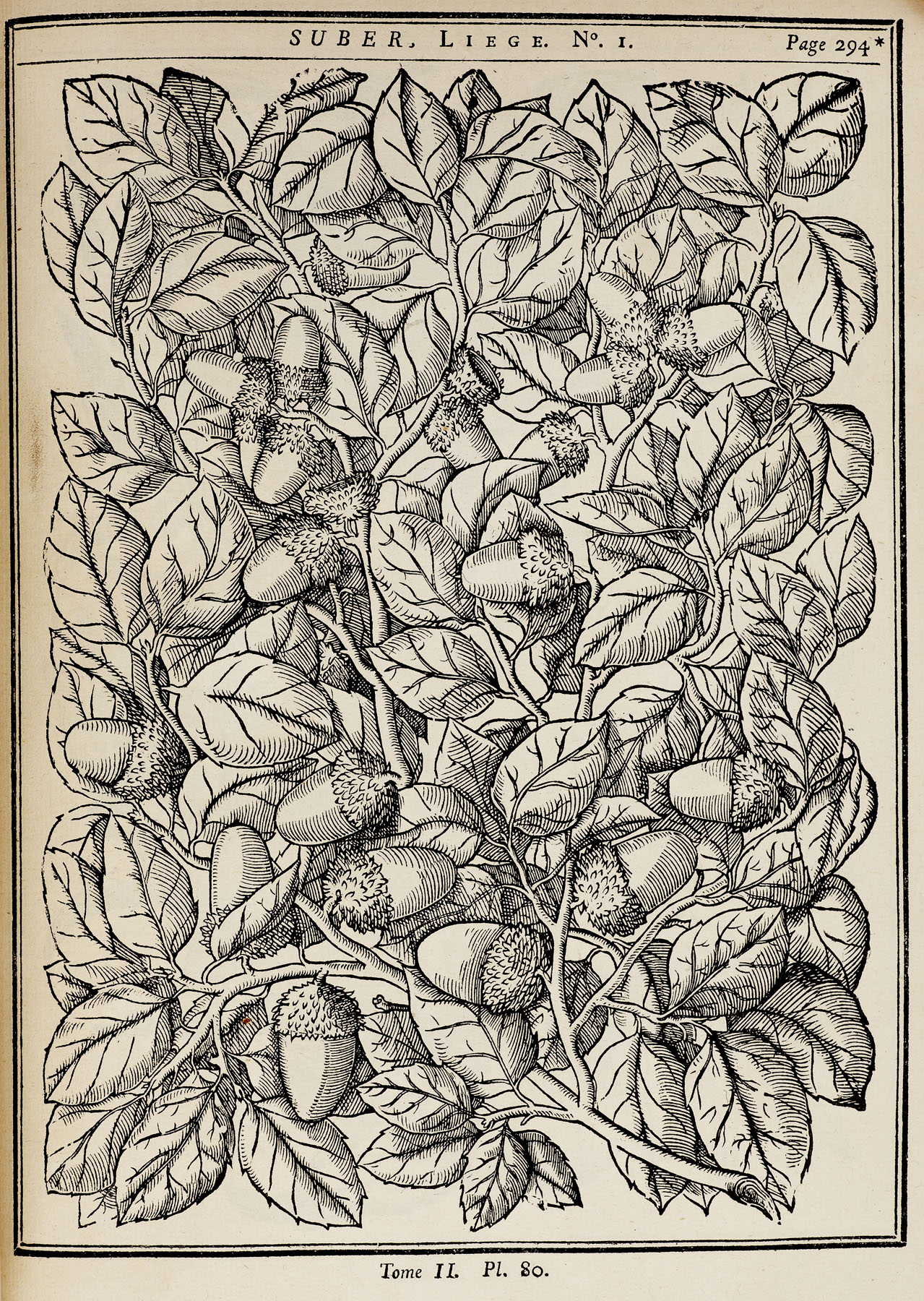 Duhamel du Monceau, Henri Louis