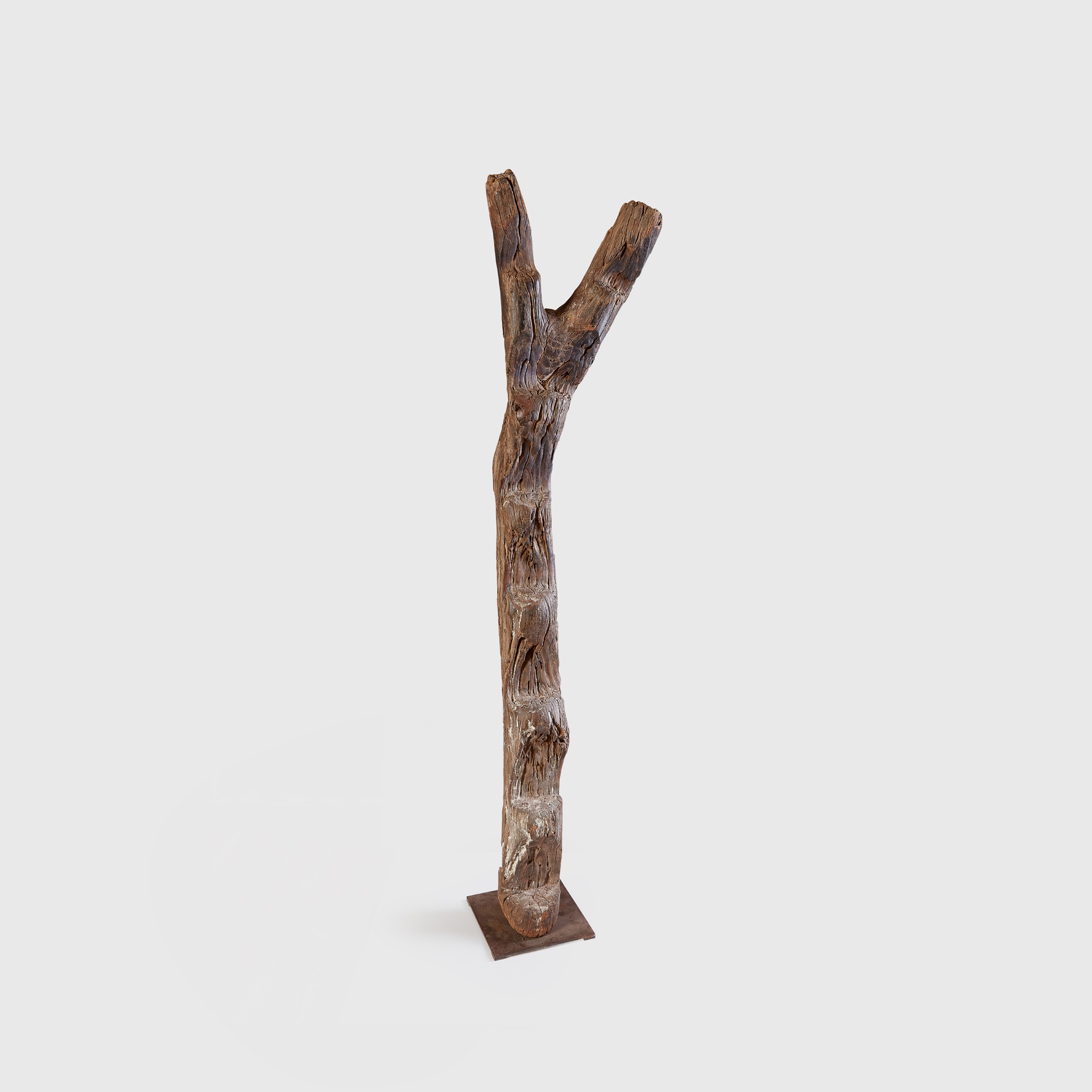 DOGON LADDER