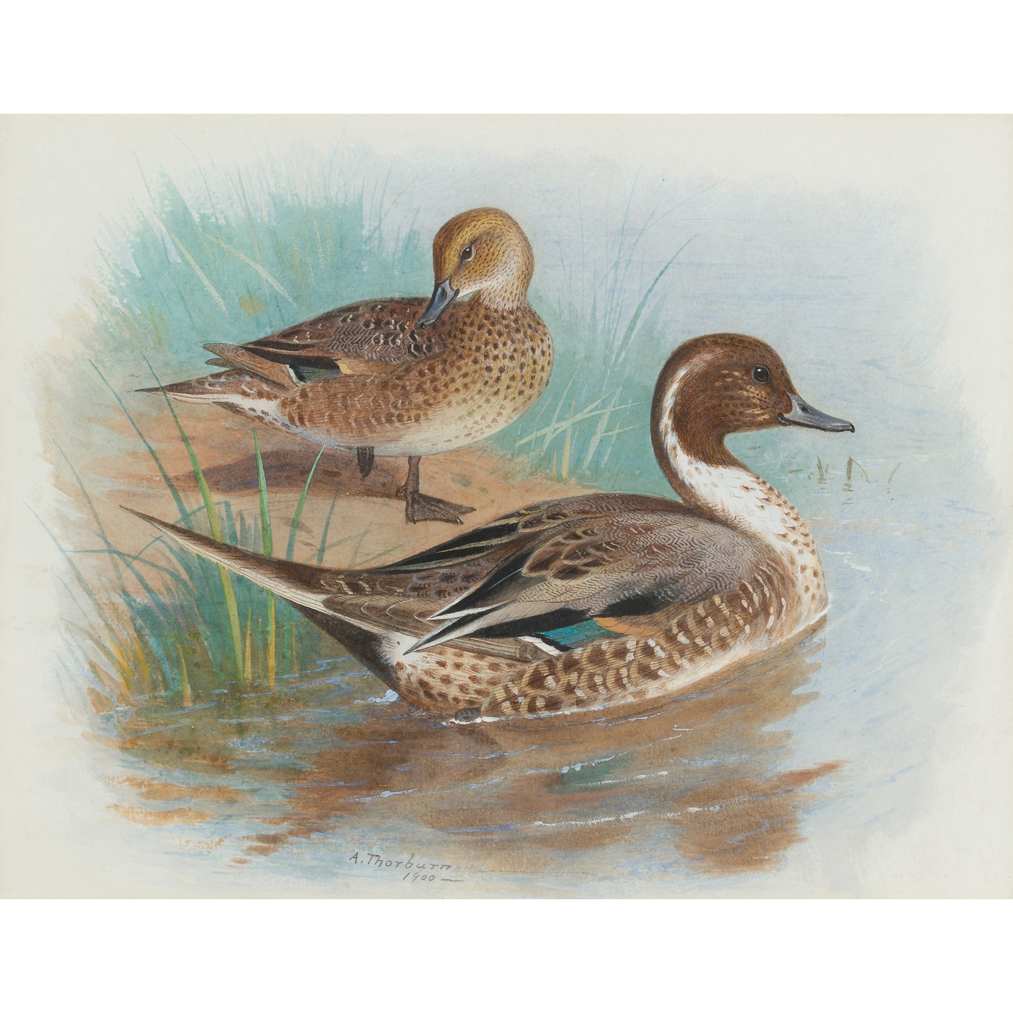 ARCHIBALD THORBURN (SCOTTISH 1860-1935)