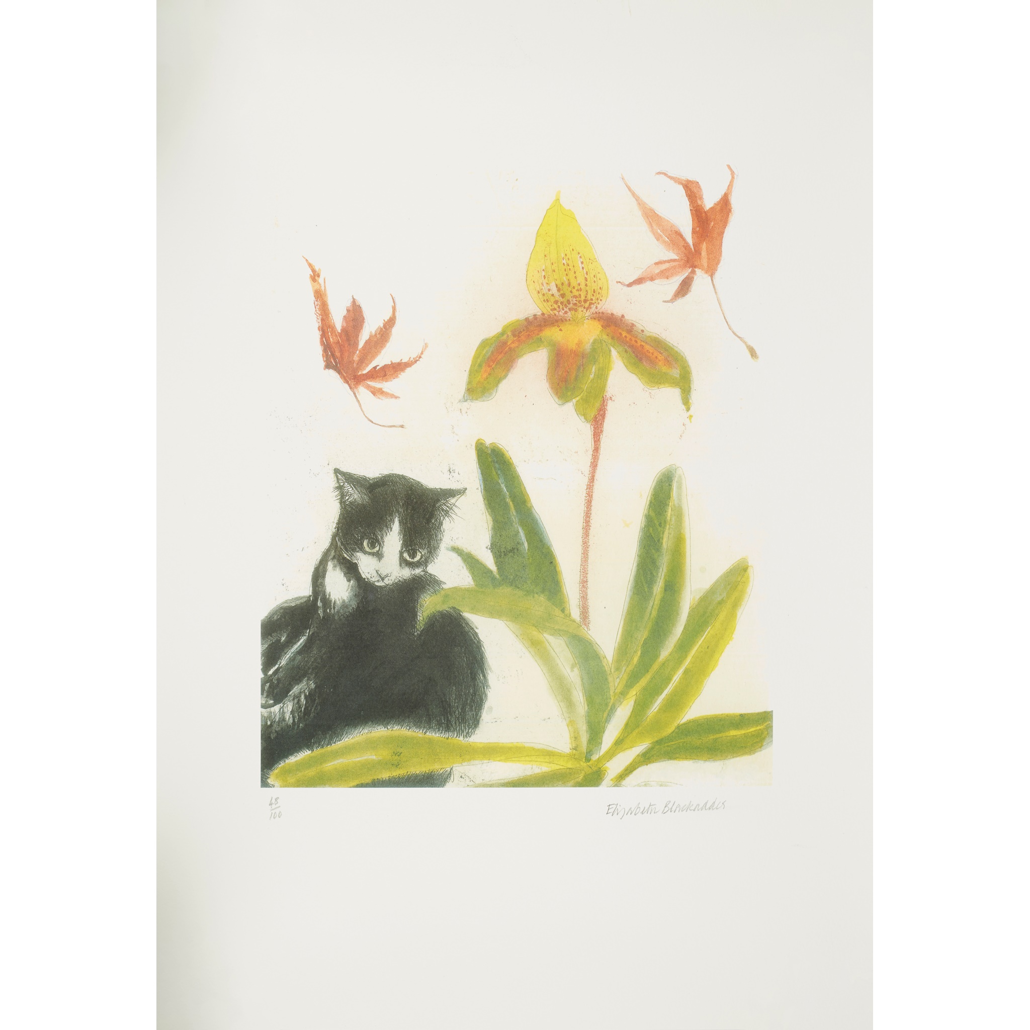 DAME ELIZABETH BLACKADDER O.B.E., R.A., R.S.A., R.S.W., R.G.I., D.Litt (SCOTTISH 1931-2021)