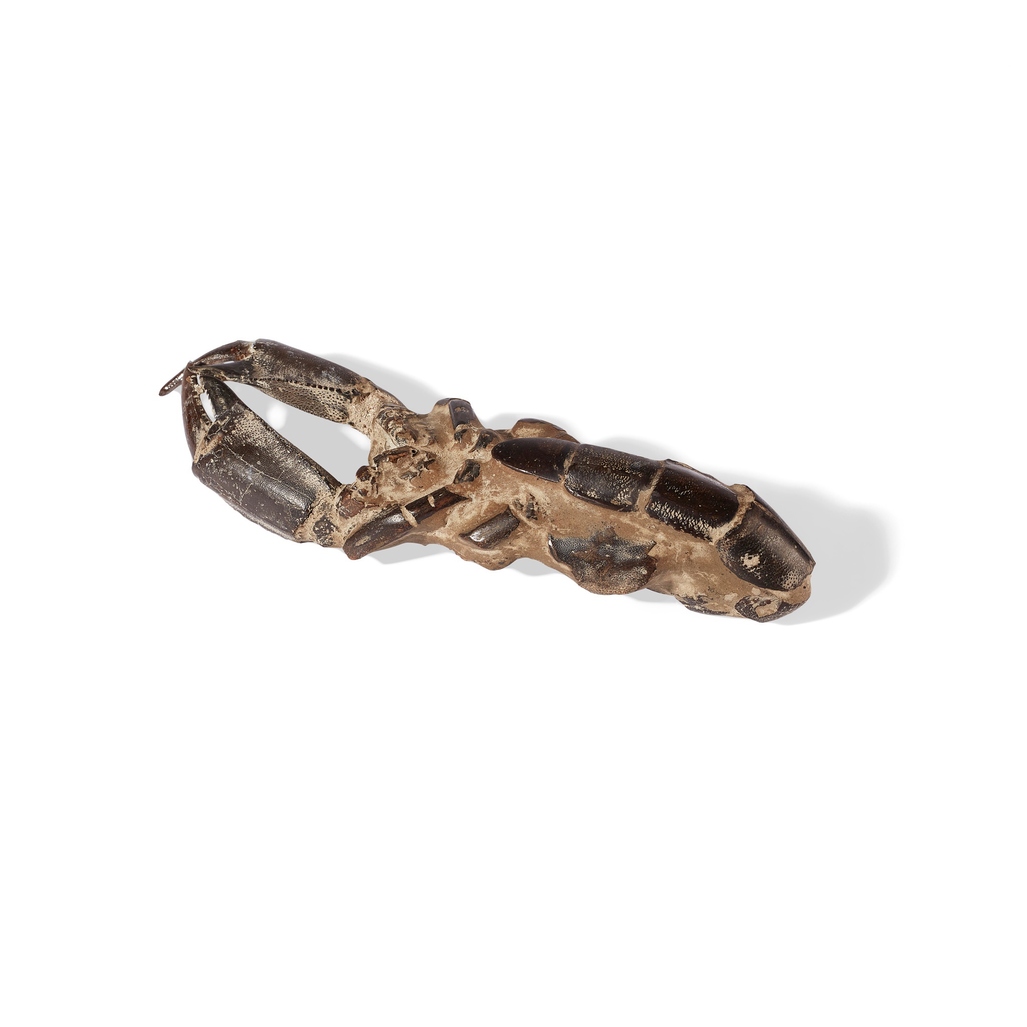 THALLASIMA CRAYFISH FOSSIL